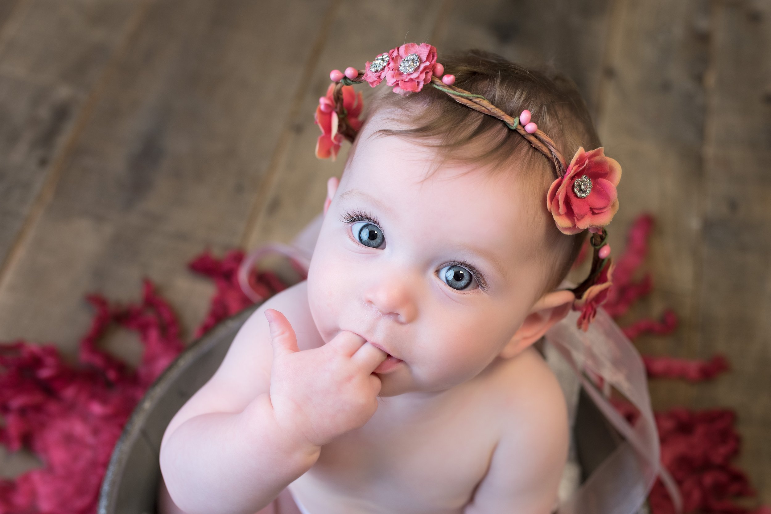 Hood Clementine 8 Mo 082418-21.jpg