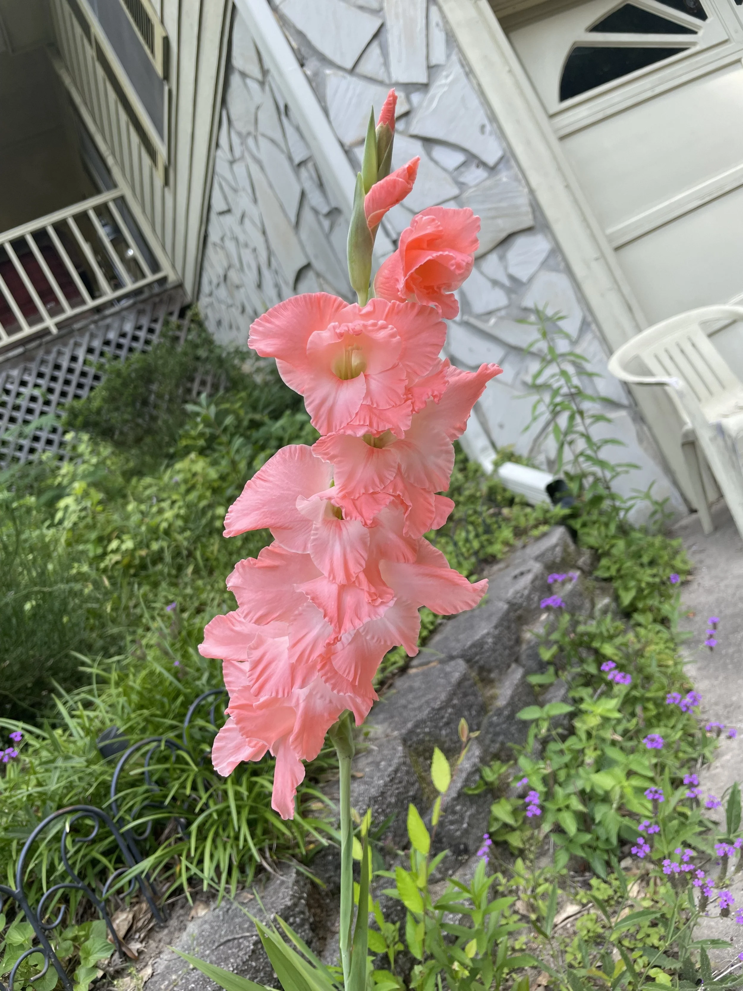 IMG_8935.jpeg