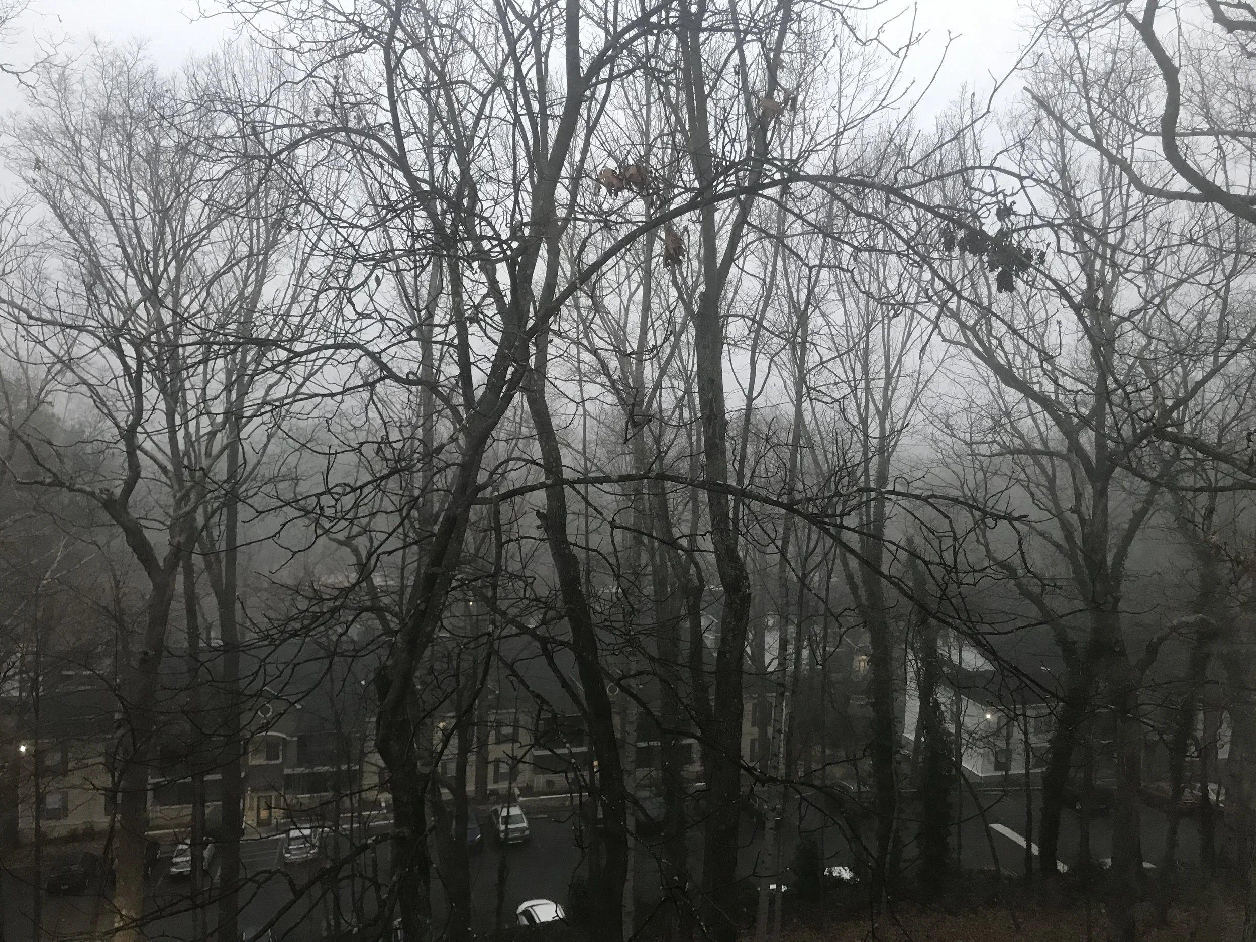 IMG_1582.jpeg