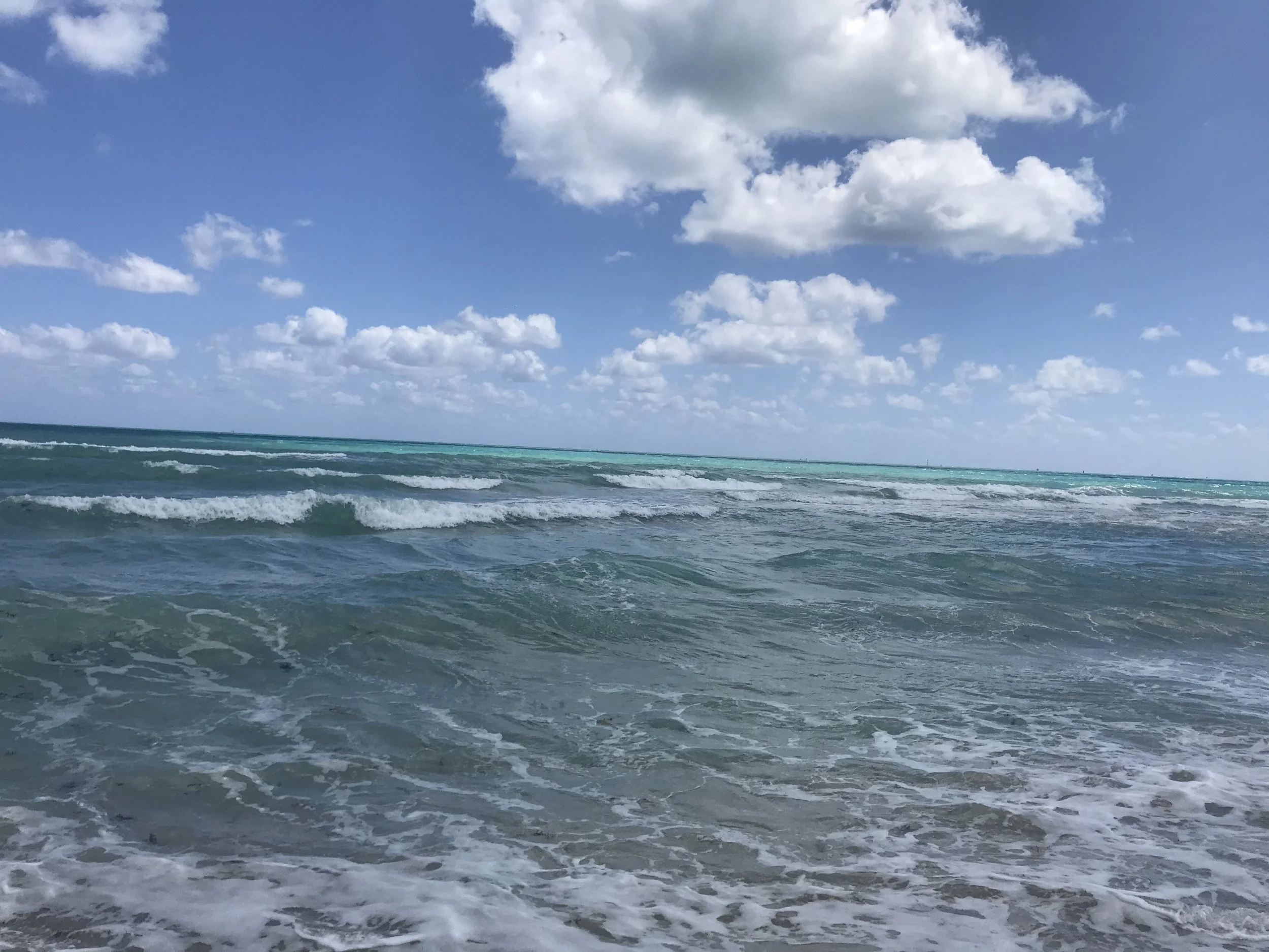 IMG_1809.jpeg
