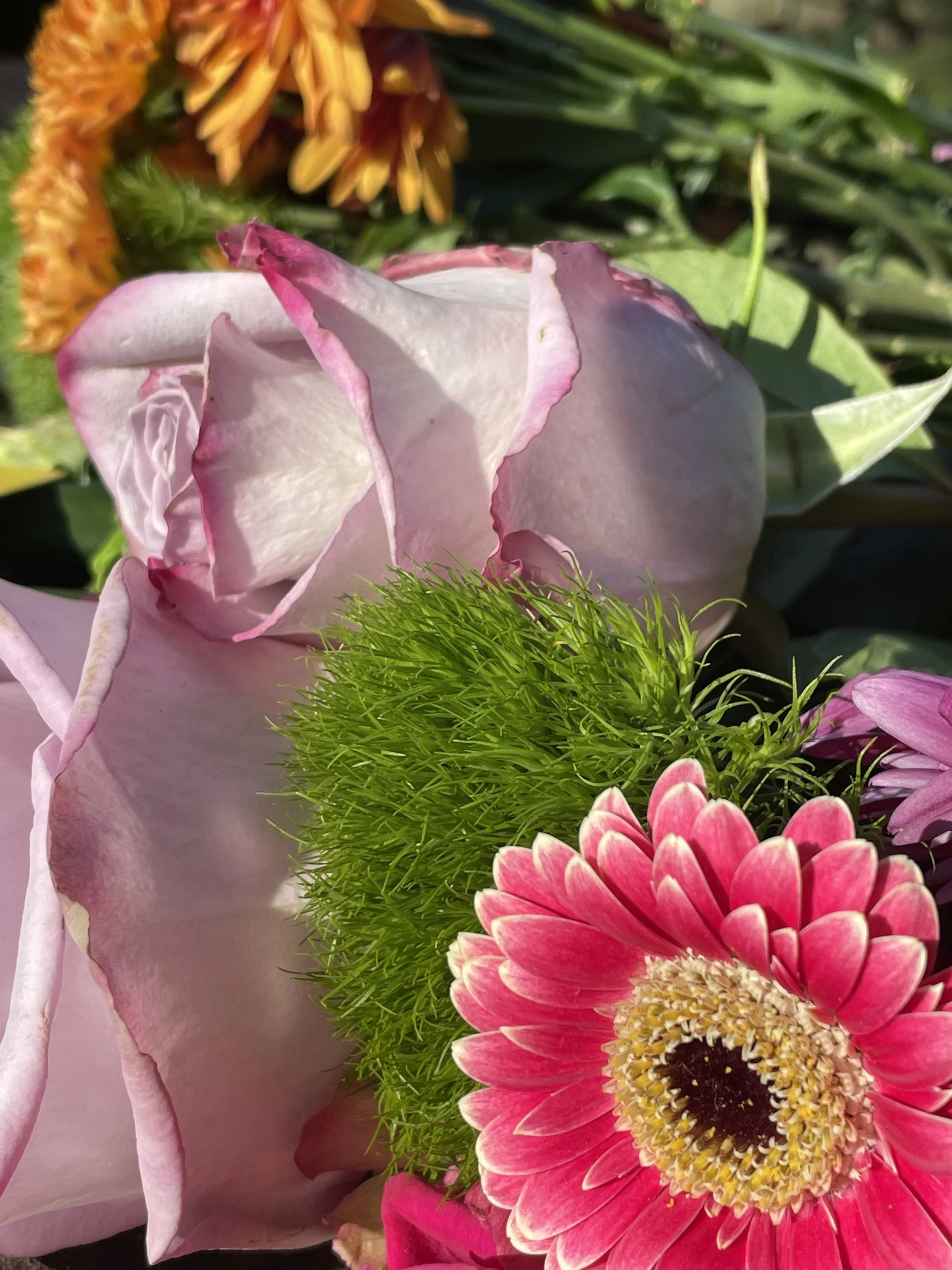 C8AEC685-546E-42E1-902B-64F100DEA317.jpeg