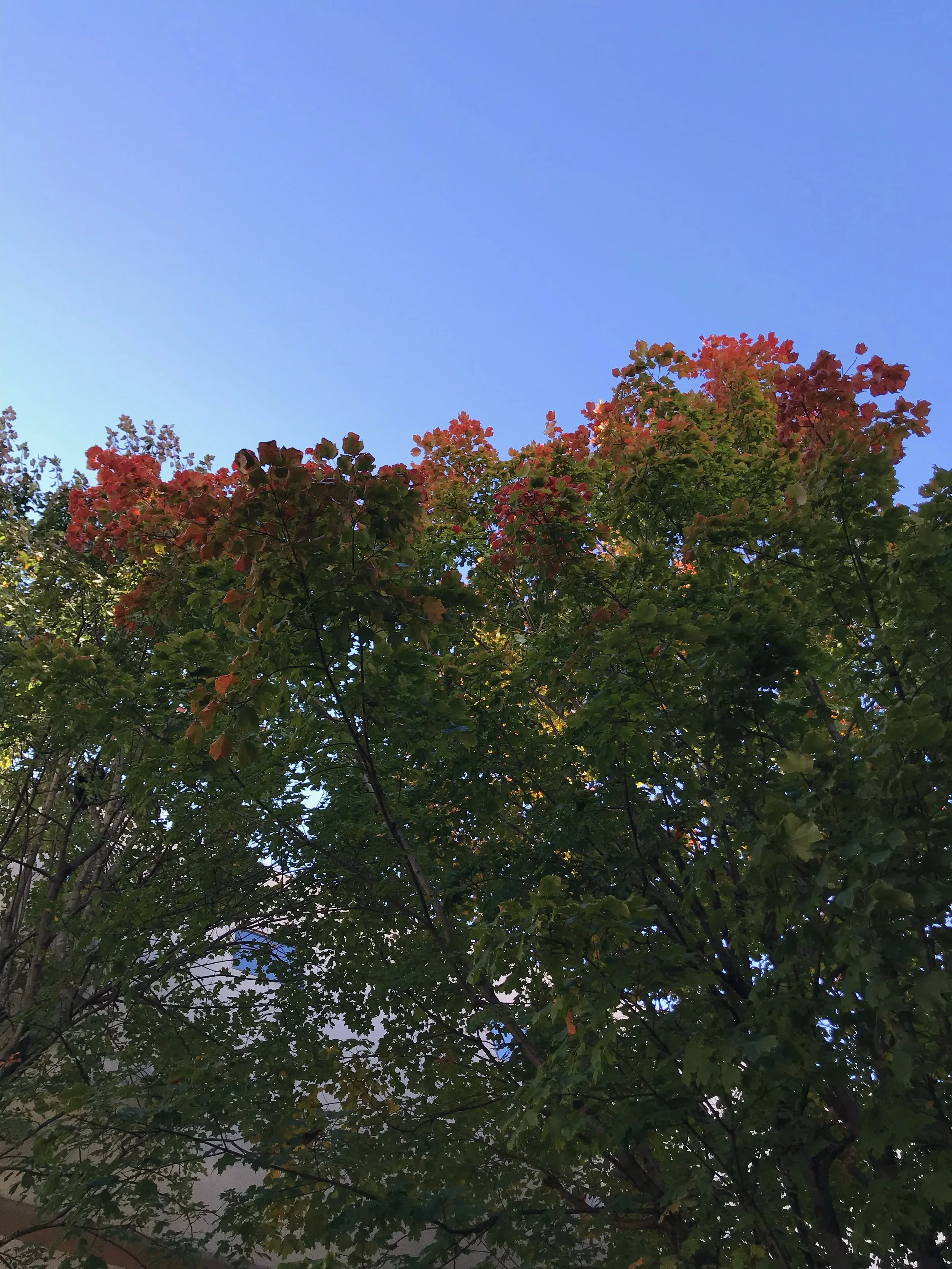 "We fell in love in October, and that's why I love fall..."