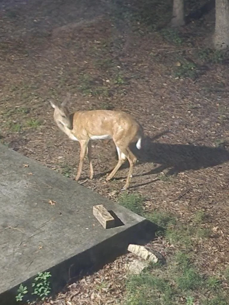 Resized_20220814_235927.jpeg