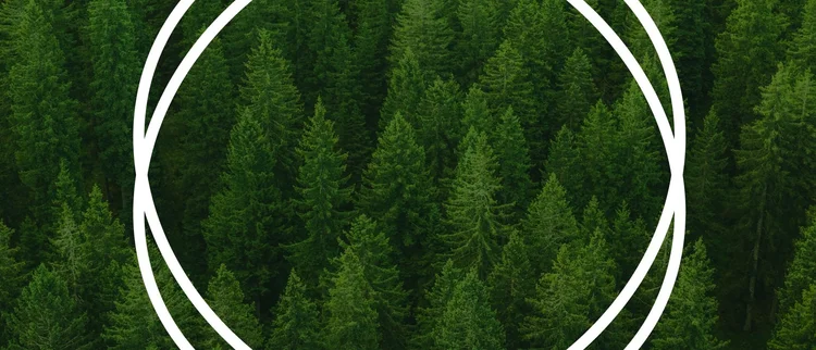 eco charger quad price