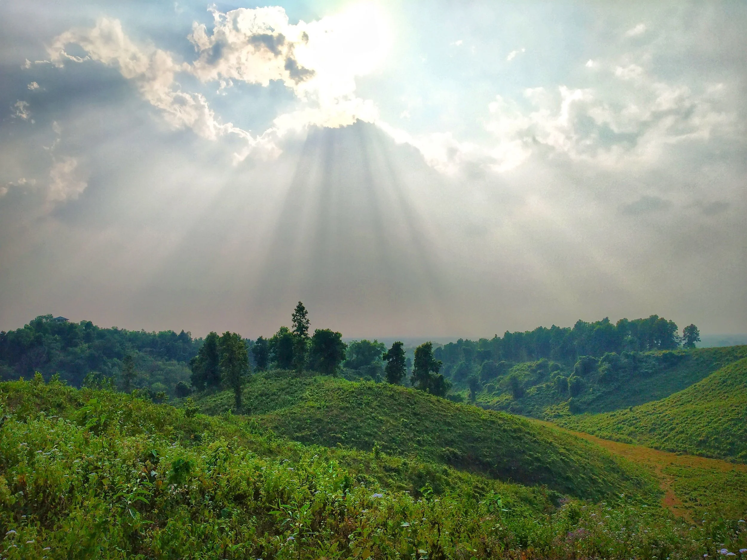 Lorem ipsum dolor sit amet consectetur adipiscing elit. (Copy) (Copy)