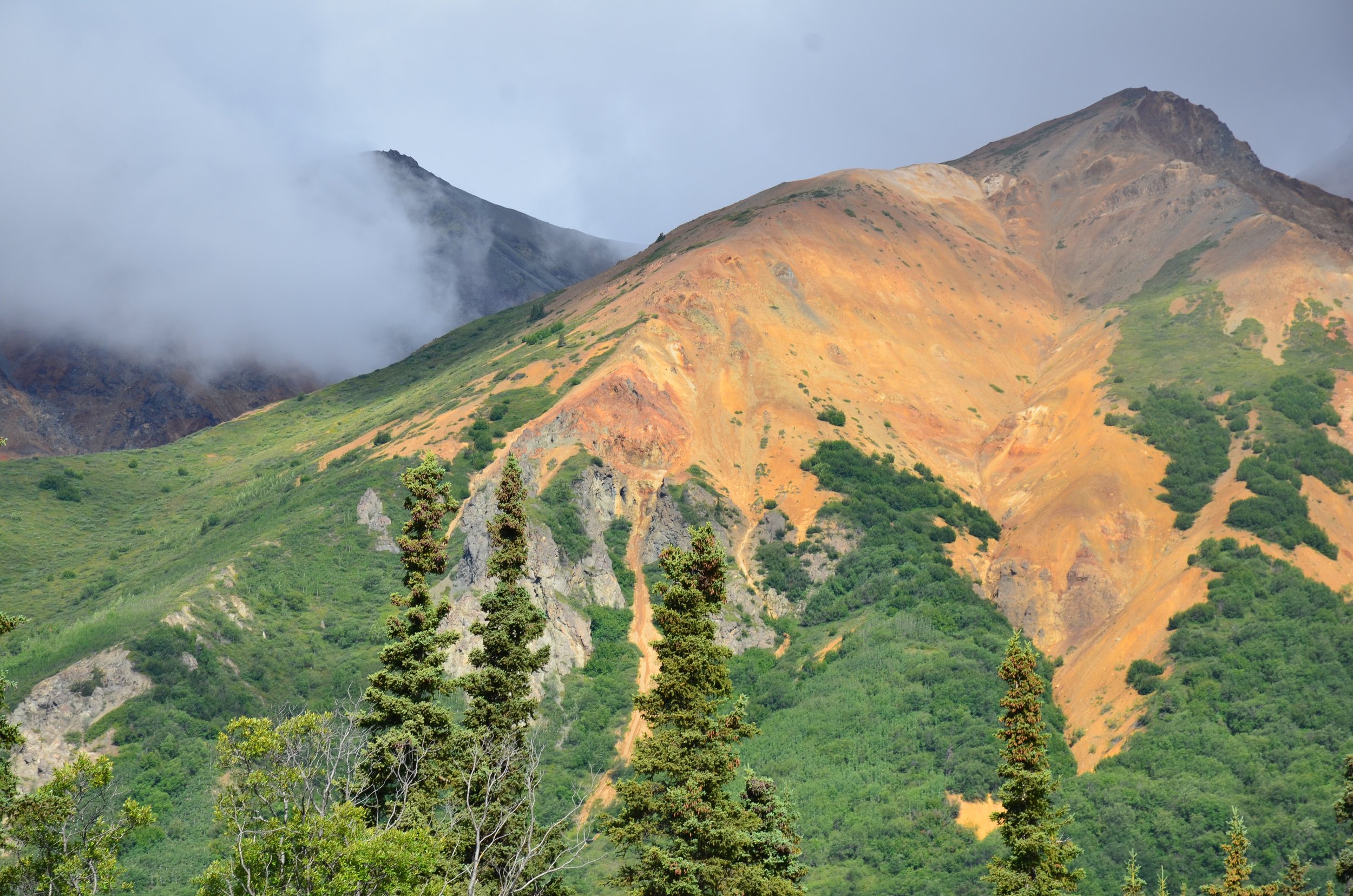 DSC_8919.JPG