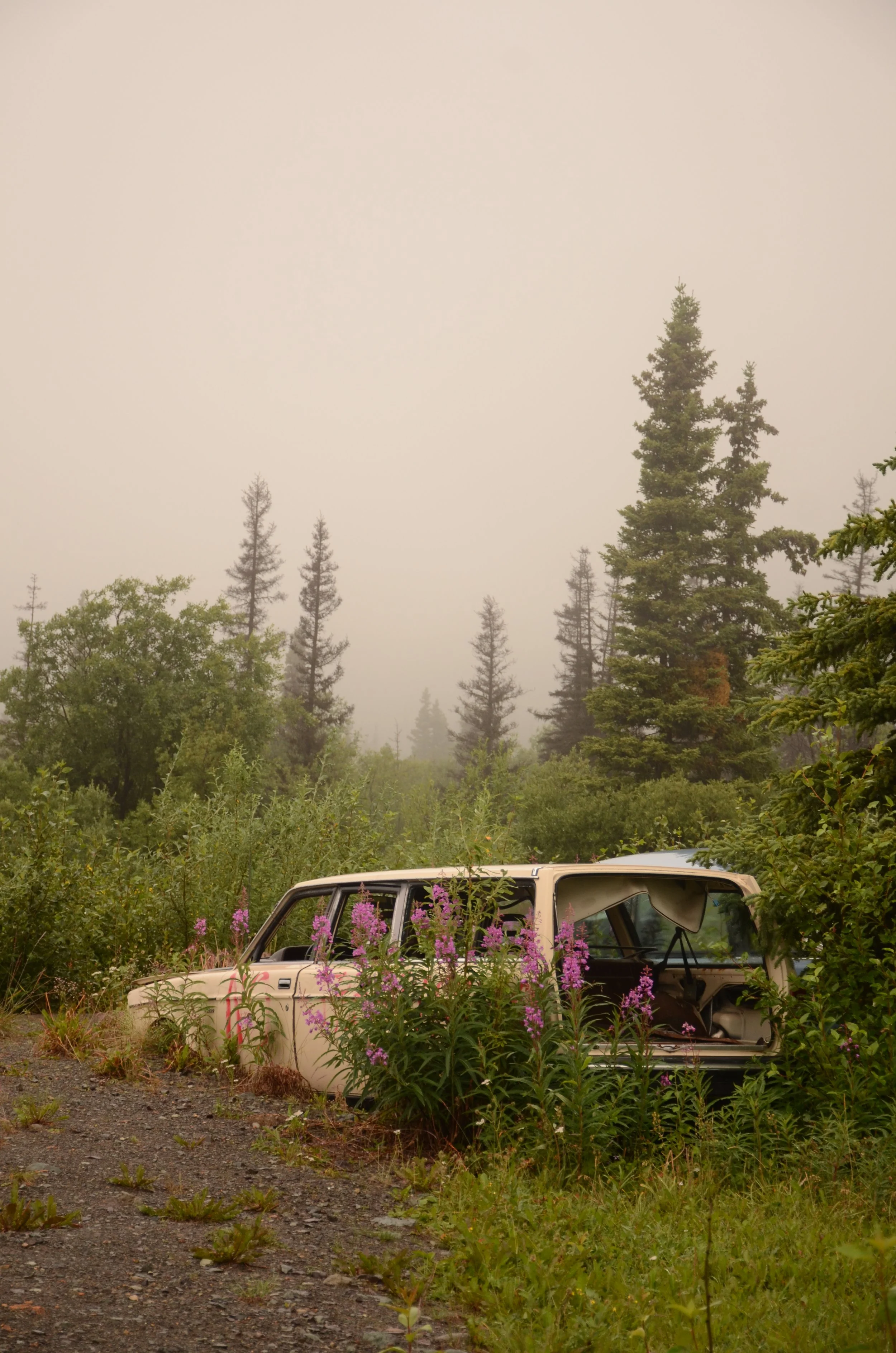 DSC_8850.JPG