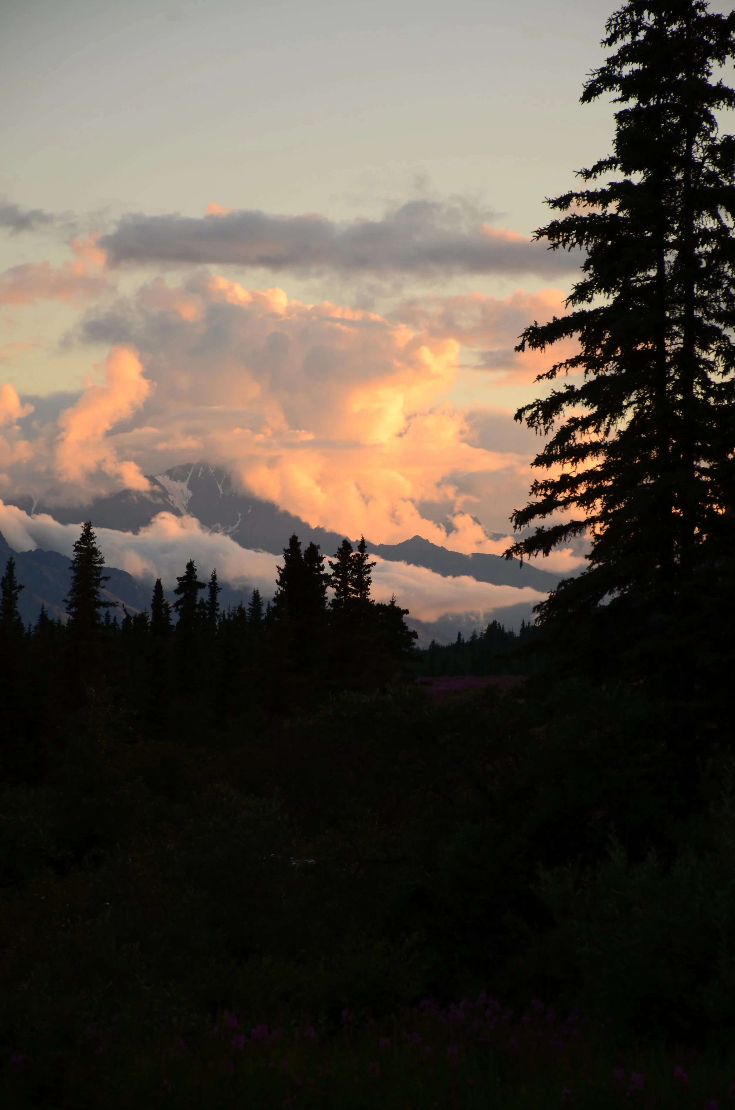 DSC_9255.JPG