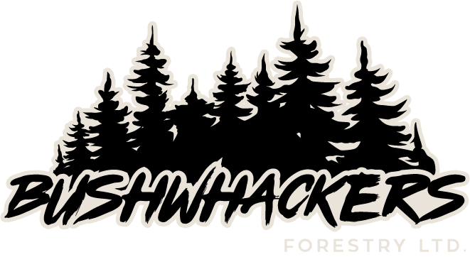 Bushwhackers Forestry