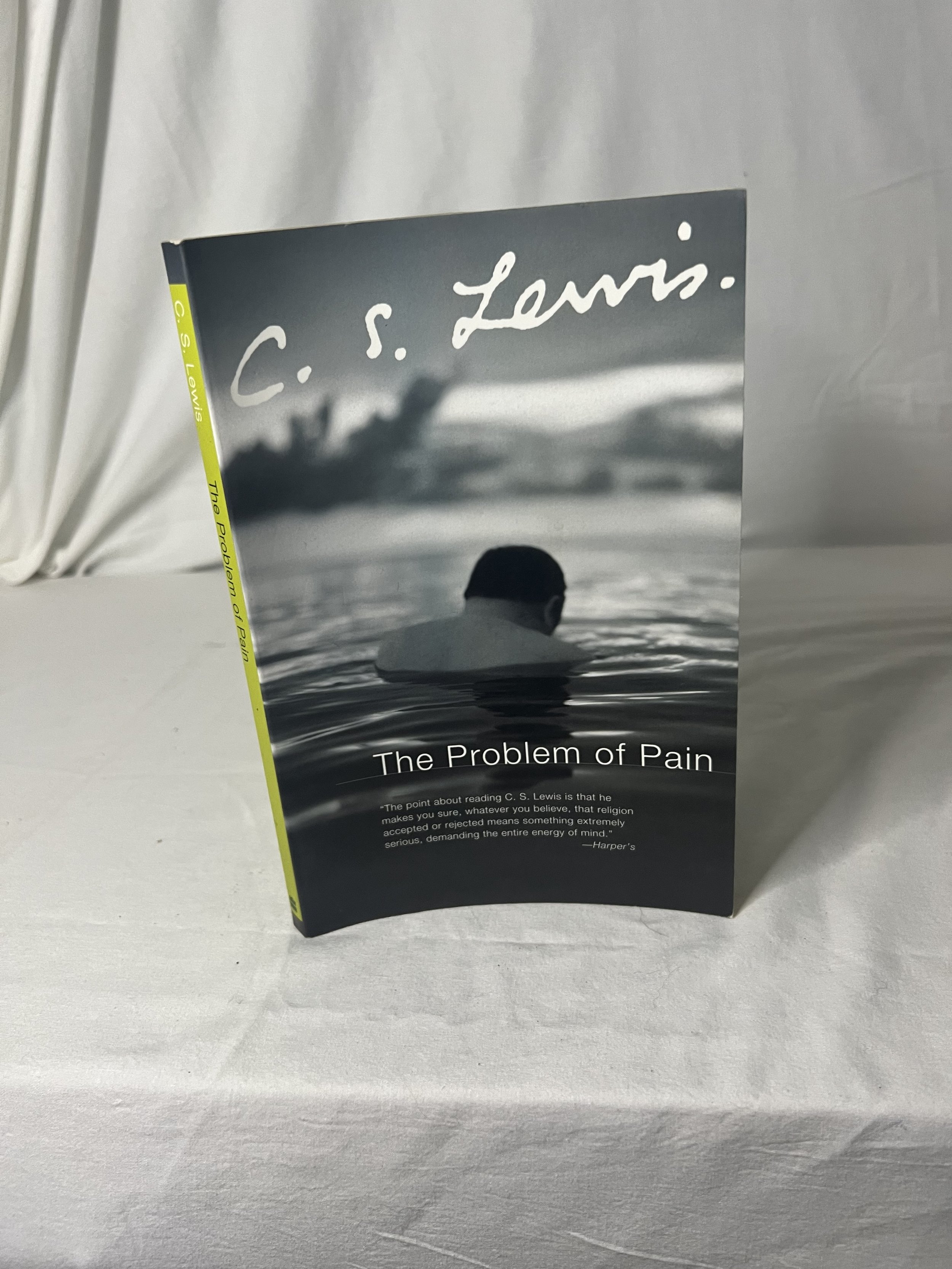 The Problem of Pain