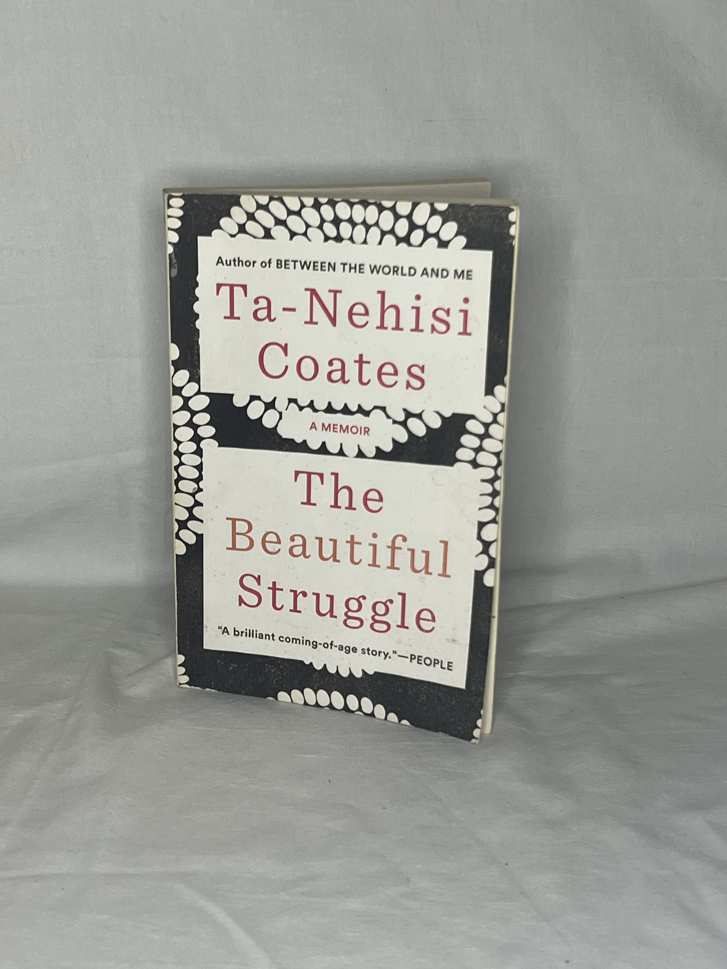 The Beautiful Struggle