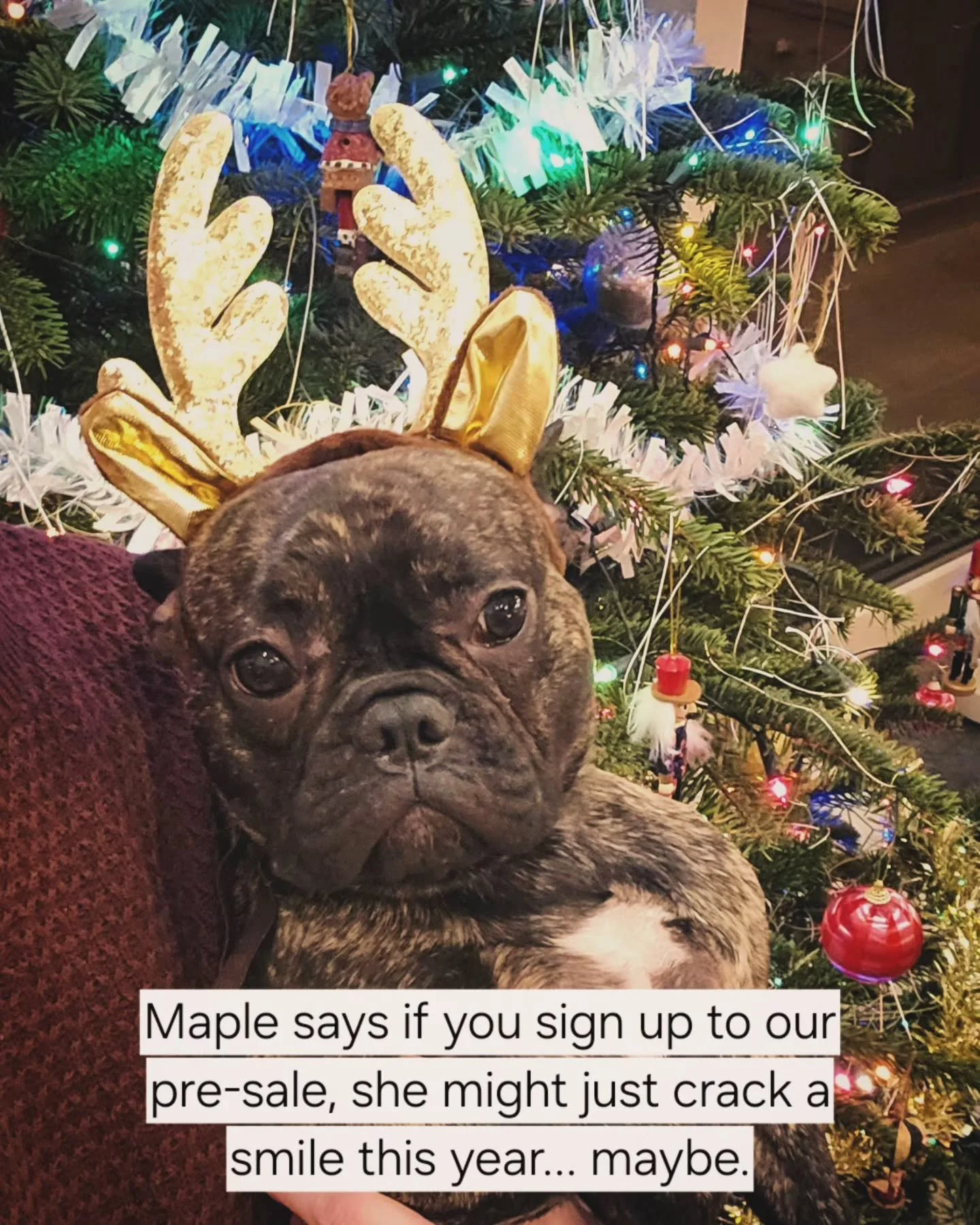 This wee scrooge wasn't feeling the Christmas cheer last time, maybe we need to find her a festive woolly jumper this year 🤔

Alternatively, you can sign up to our pre-sale via the link in our profile and that will definitely do the trick 😜