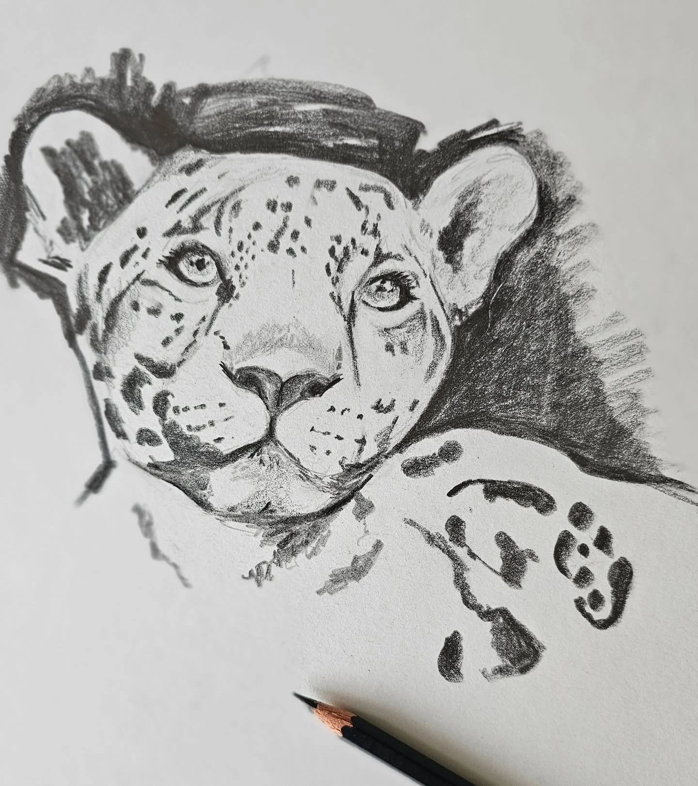 Just because...

One thing we are struggling with at the moment is 'creating' just for the enjoyment of it. 

No end game in mind, no 'product' required. 

With time limited and the months flying by (!?!) it often feels like there isn't the luxury of