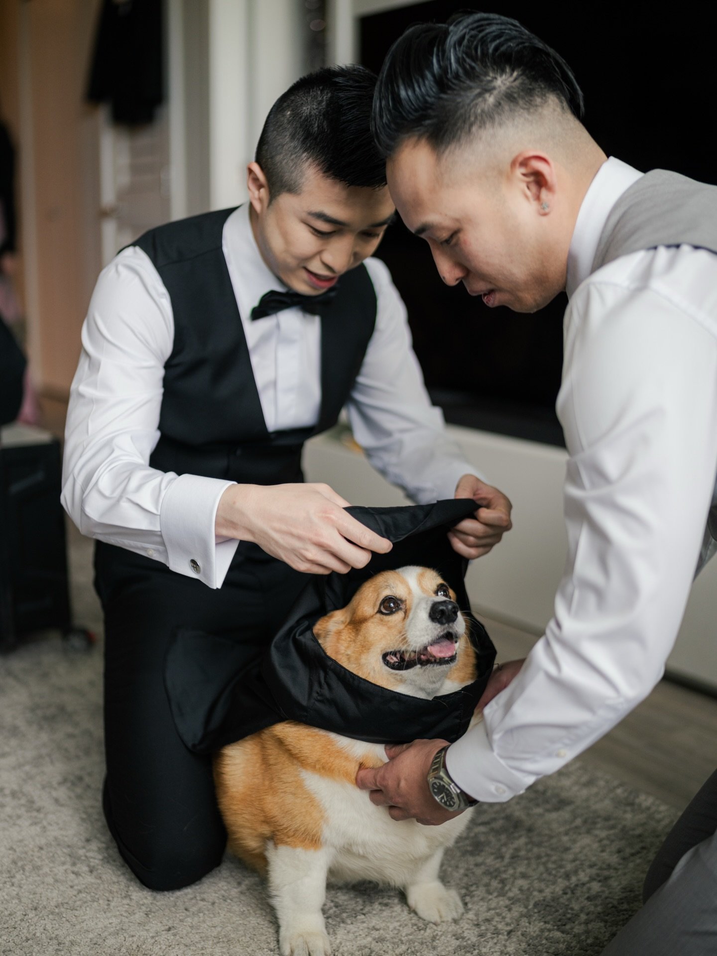 Gotta look good for mommy and daddy&rsquo;s fur-ever ceremony! 

#goodestboy #corgibutt #weddingdogs #weddingday #gettingready