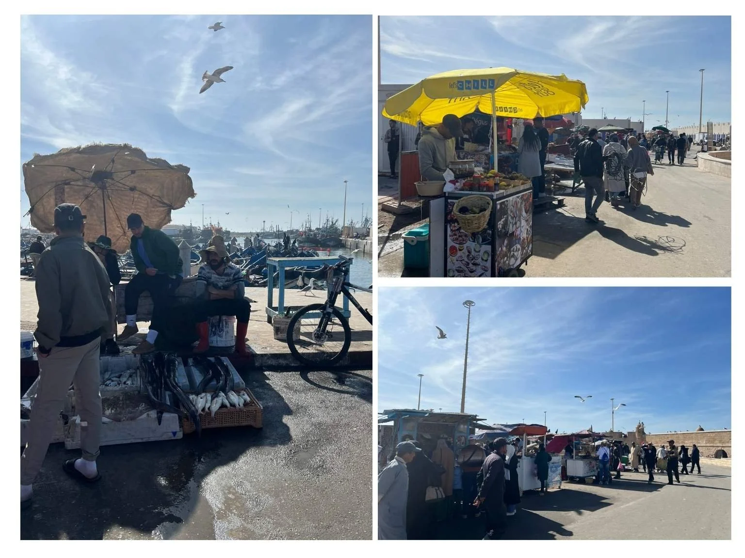 索維拉海鮮市場的小販，擺滿剛捕撈上岸的新鮮漁獲。