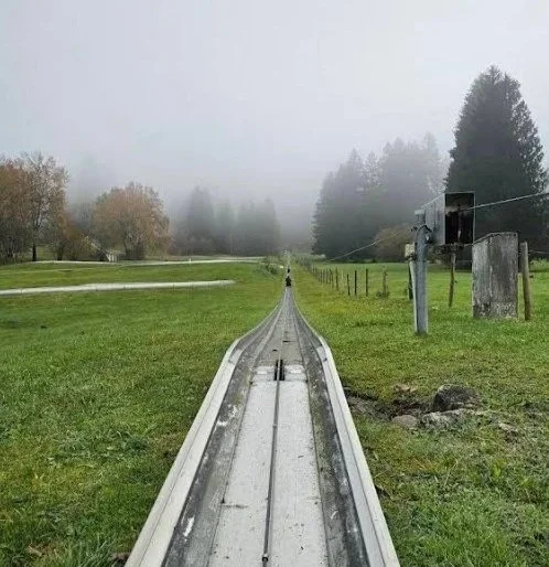 新天鵝堡附近 Sommerrodelbahn Tegelberg 滑車設施，體驗刺激好玩的山坡滑車活動。