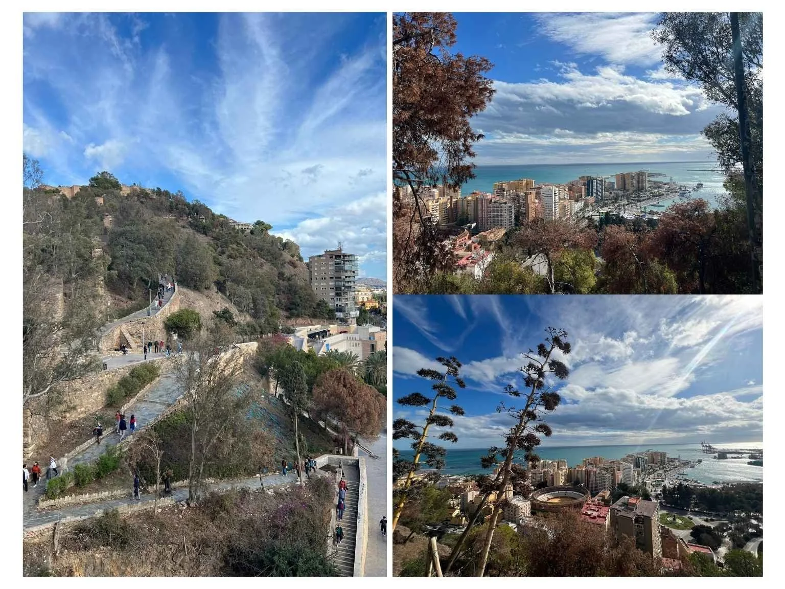 前往希伯法洛城堡途中，可以欣賞馬拉加市區與港灣的優美景色。