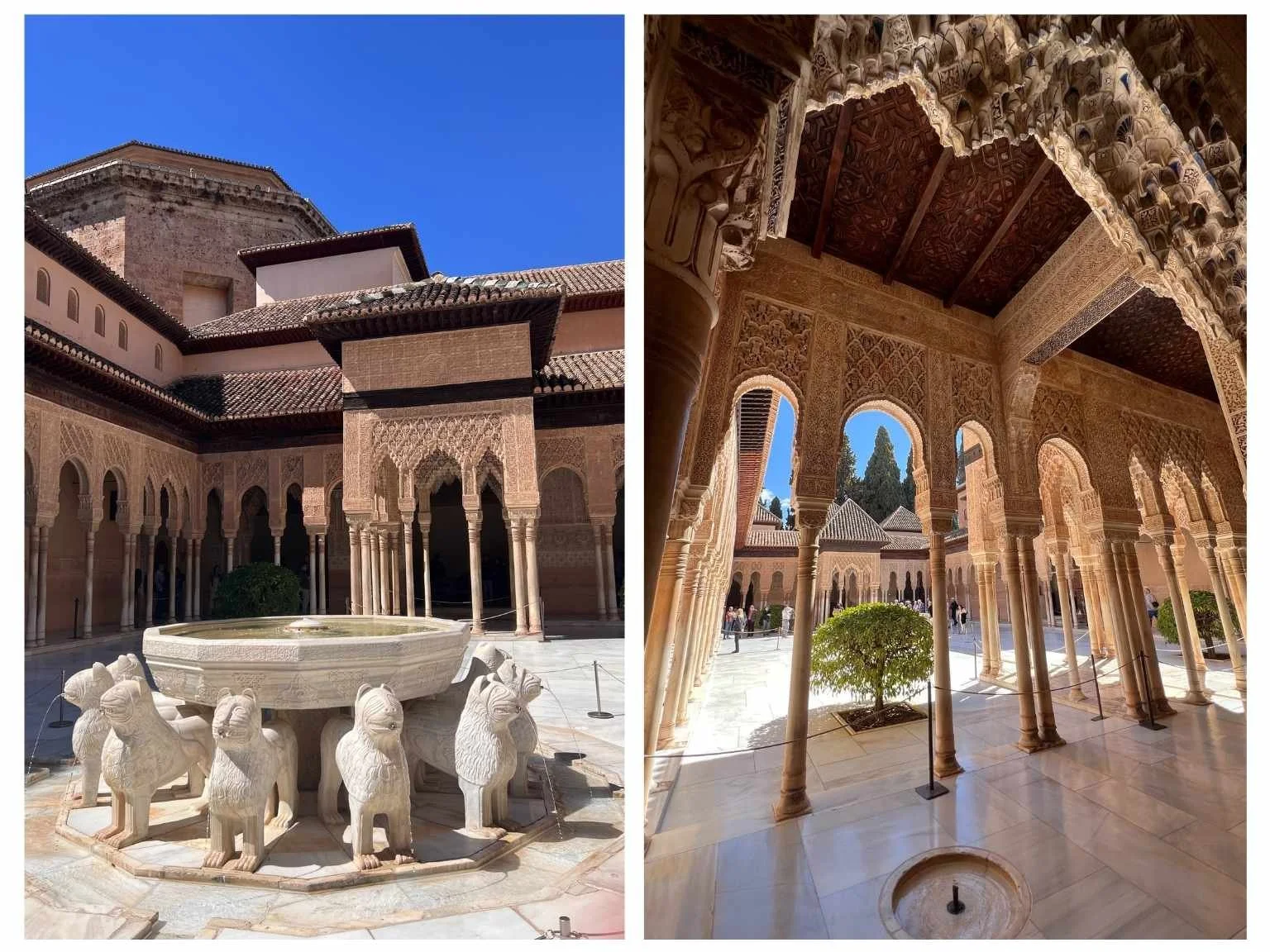 阿爾罕布拉宮納斯里德宮中最著名的獅子庭院，庭院中央的獅子噴泉和周圍 124 根大理石柱如棕櫚林般展開，現場氣勢與震撼感十足。