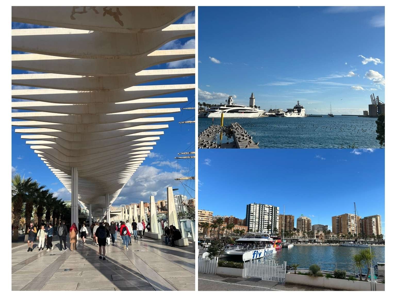 沿著 PORT OF MÁLAGA 的海濱長廊漫步，欣賞港灣與船隻景色。