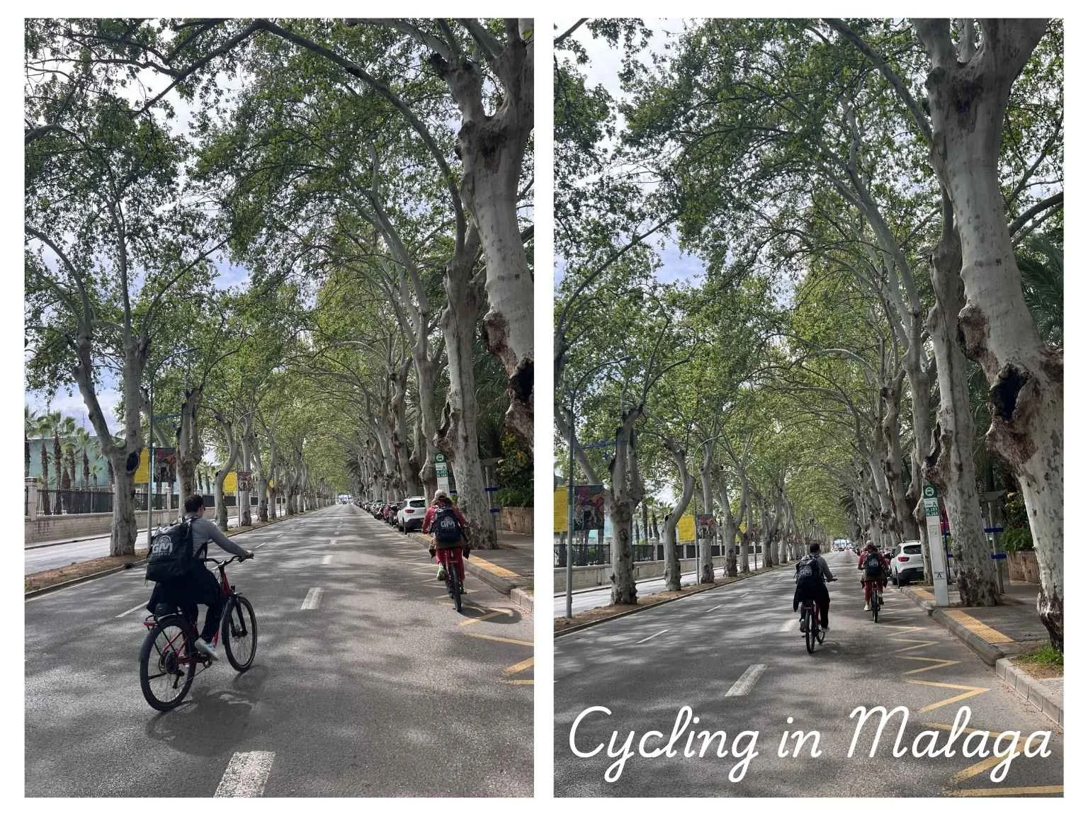 在馬拉加市區散步時看到有人騎腳踏車經過，城市氣氛輕鬆又自在。