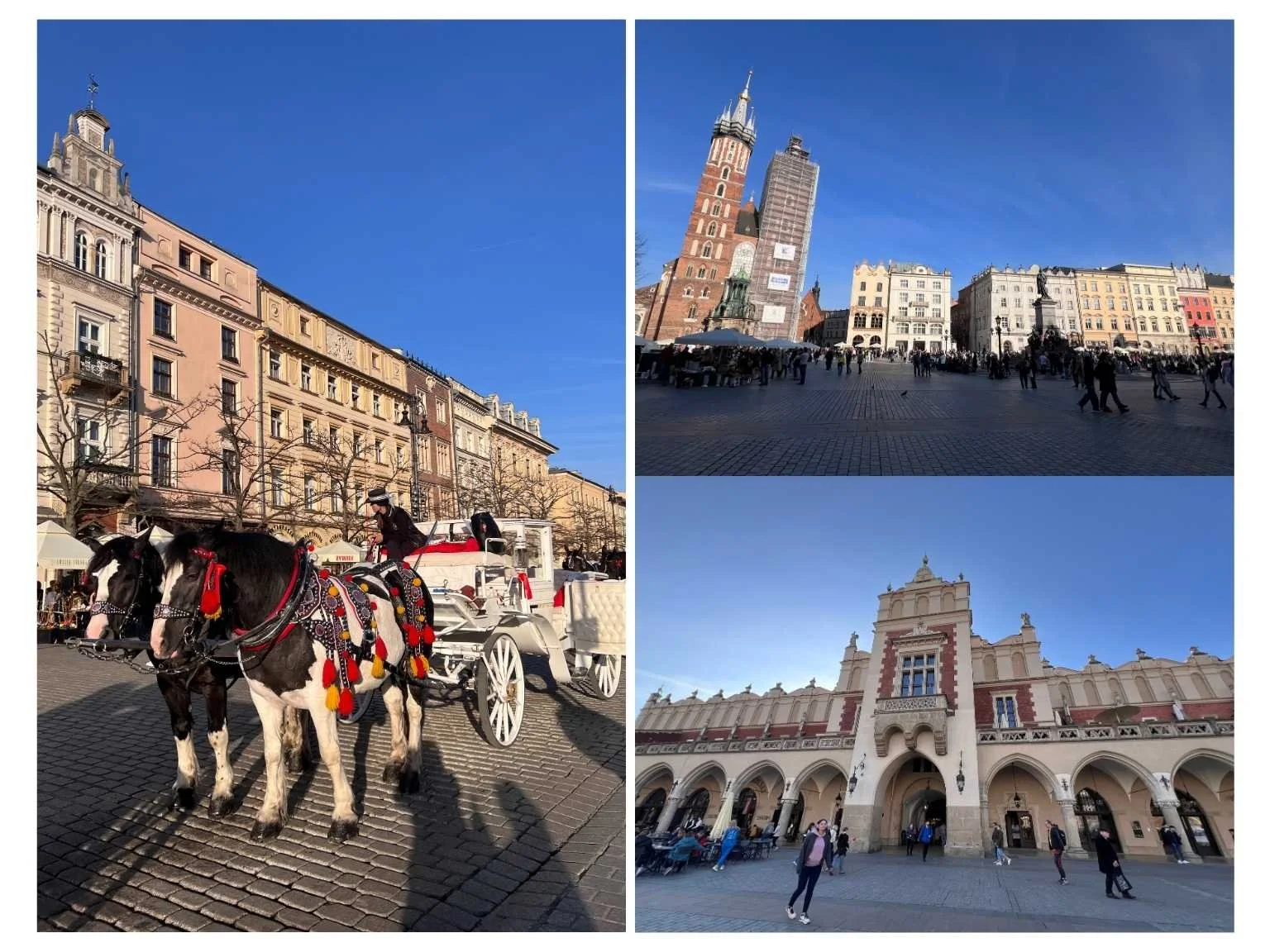 克拉科夫老城區必去景點，包括主廣場、聖瑪麗教堂與紡織會館，是第一次造訪不可錯過的地標