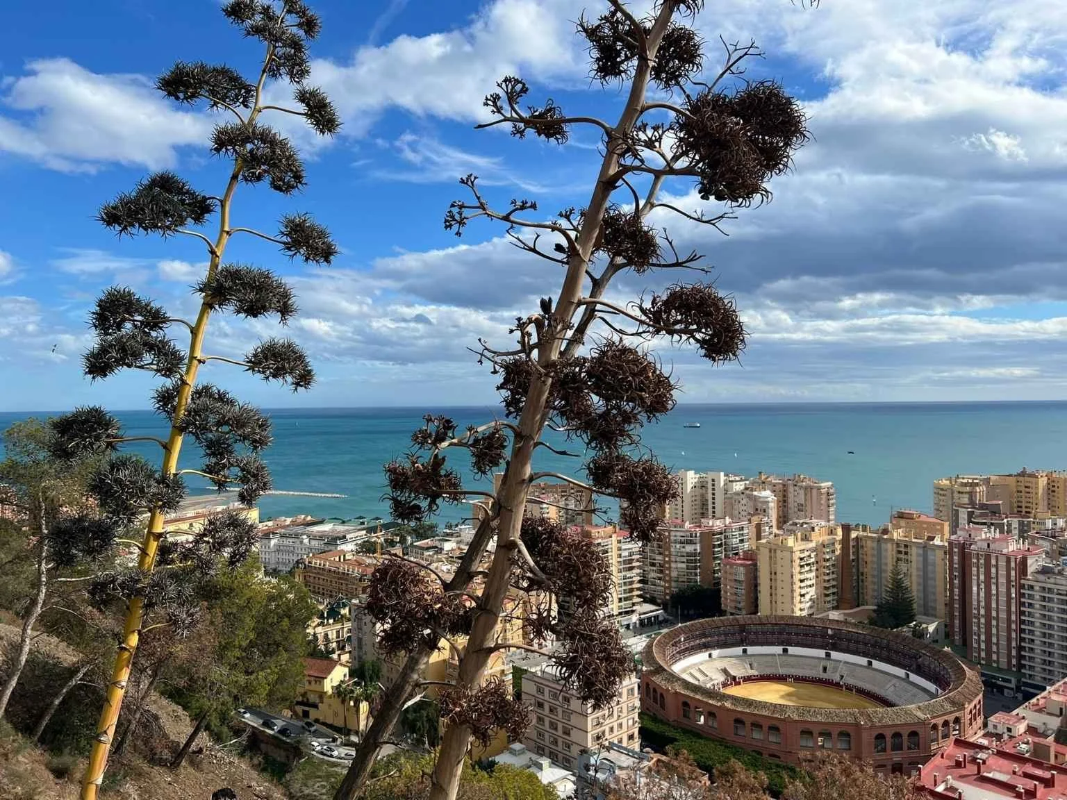 走在前往 Castillo de Gibralfaro 的山路上，往鬥牛場方向眺望的城市風景。