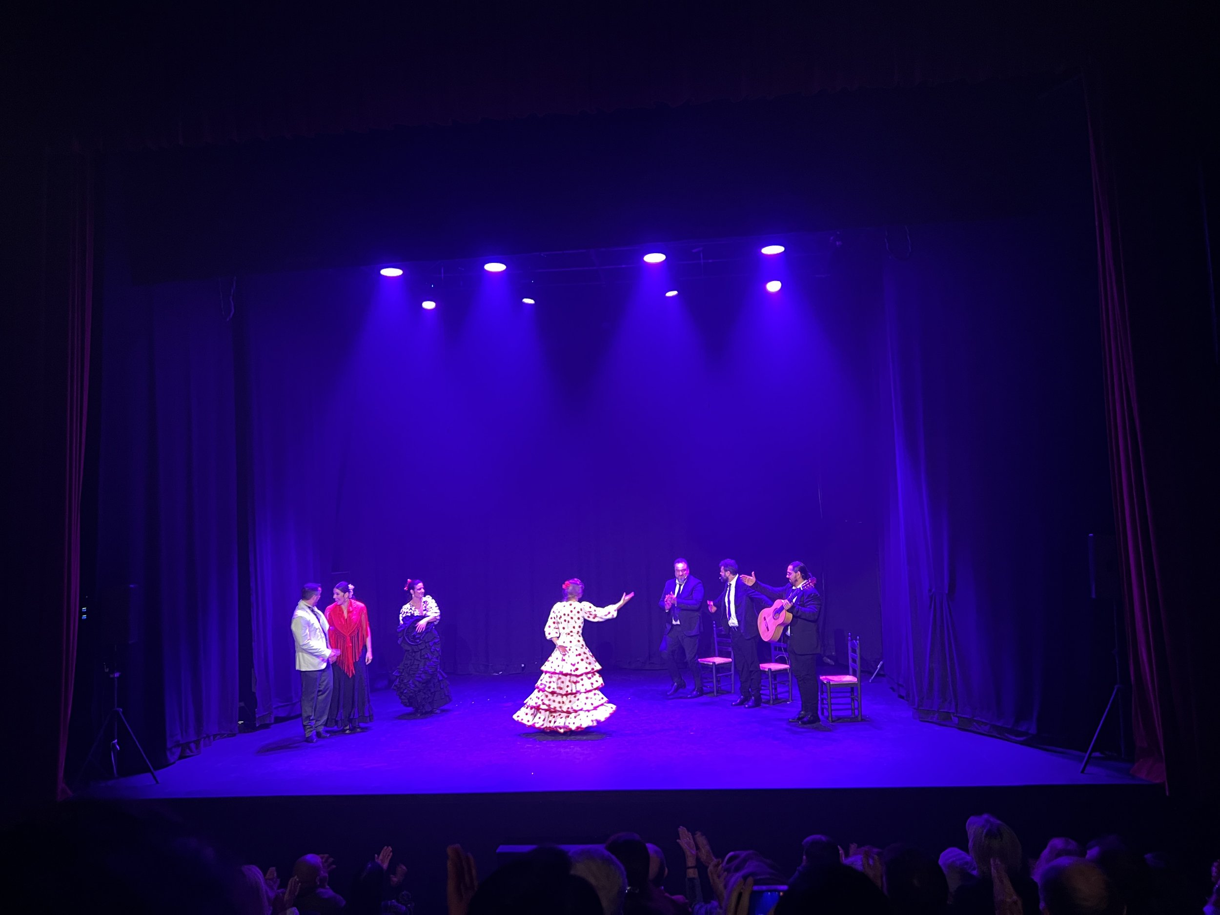 在馬拉加欣賞佛朗明哥秀，舞者充滿力量與情感的舞步非常震撼。