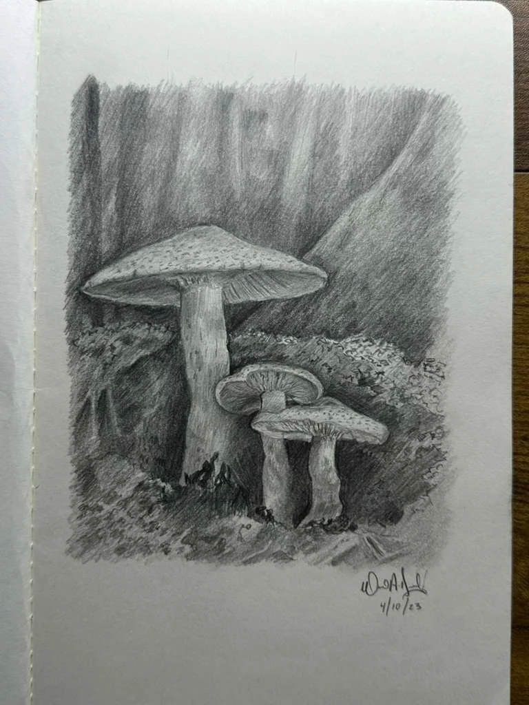 WhatsApp Image 2026-04-19 at 7.56.17 AM.jpeg