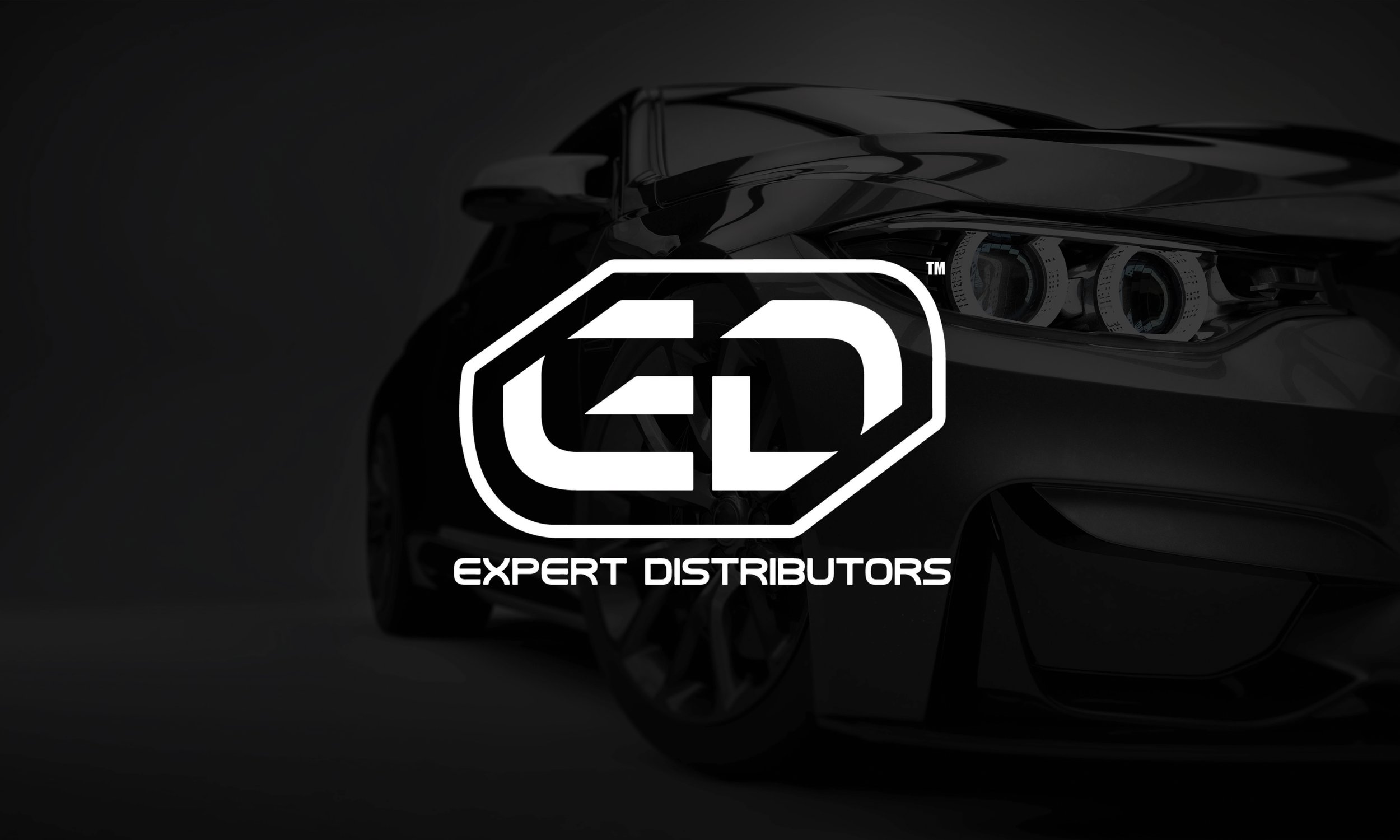 Expert_Distributors_Brand_Identity_Page_1 copy.jpg