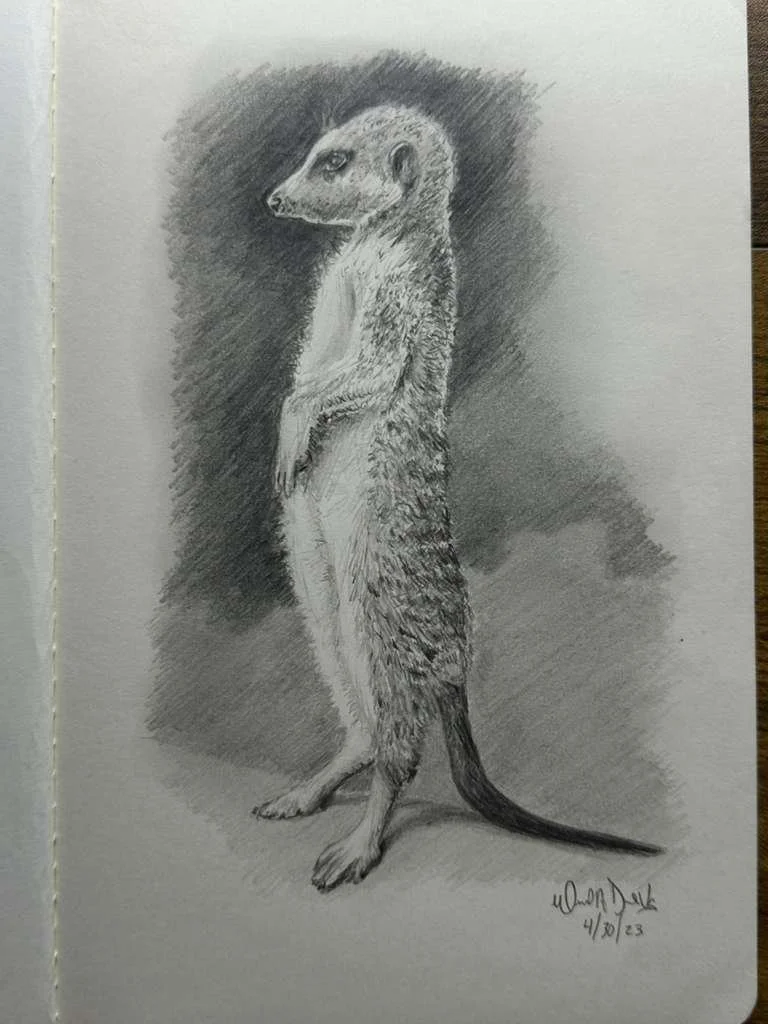 WhatsApp Image 2026-04-19 at 8.12.35 AM (2).jpeg