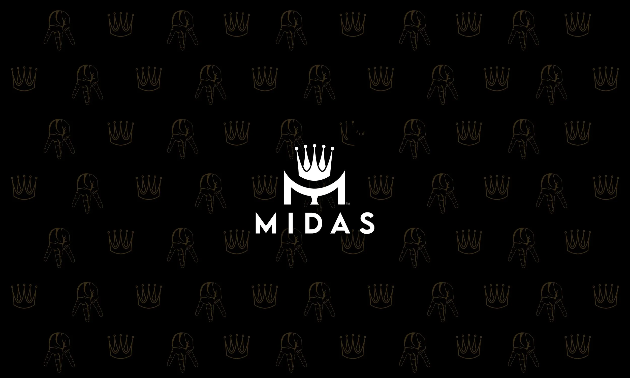 Midas Branding 08.jpg