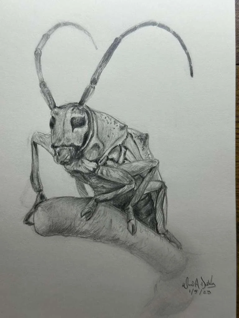 WhatsApp Image 2026-04-19 at 8.12.35 AM (1).jpeg