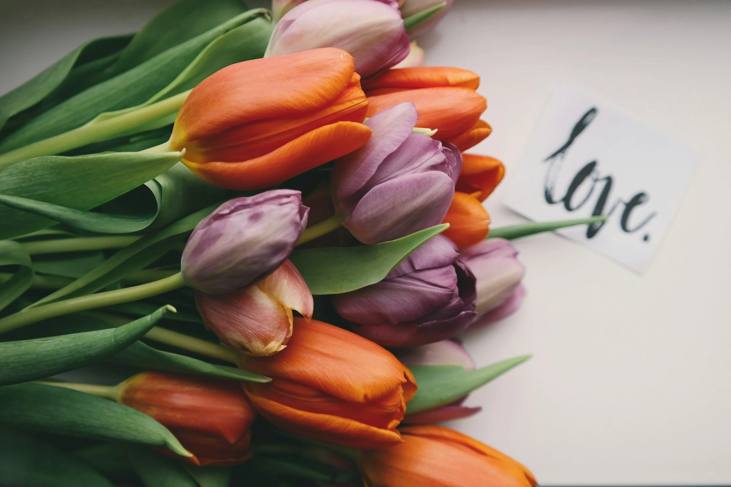 Vibrant mixed tulips with a love note — representing the intensity of early romantic attention