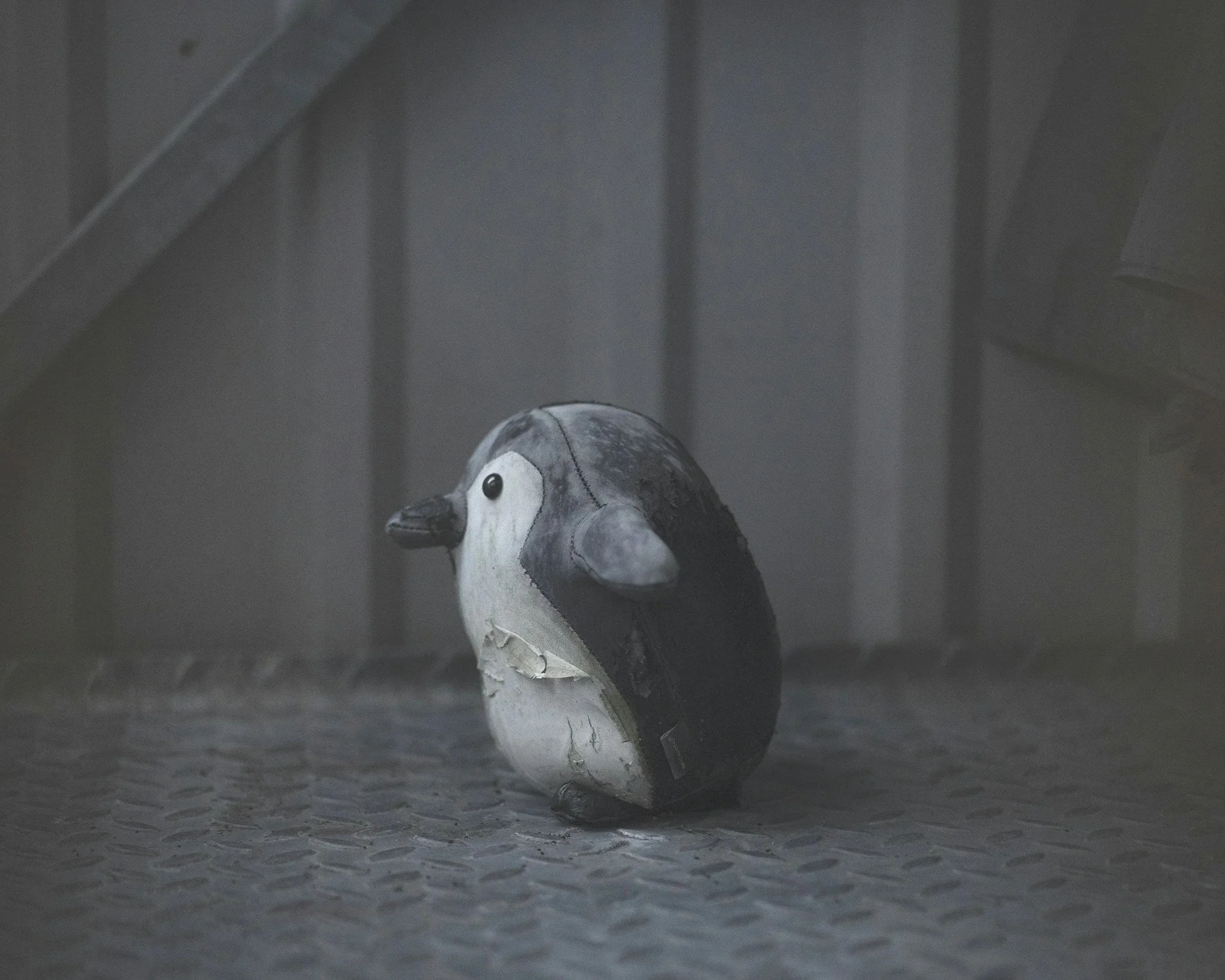 Penguin sitting alone in a quiet space, representing loneliness within a relationship