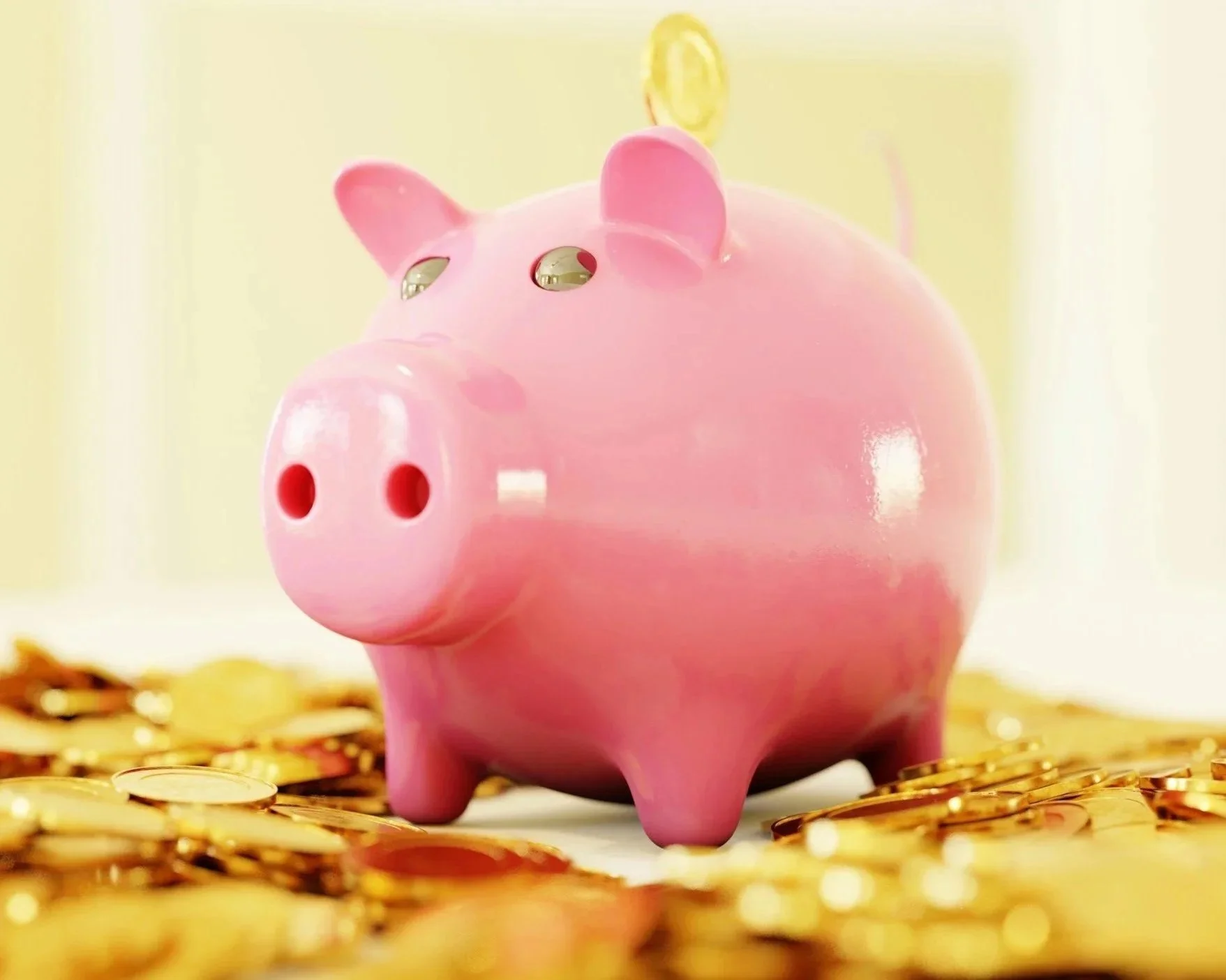 A piggy bank on top of a pile of coins, used as a metaphor for financial control.