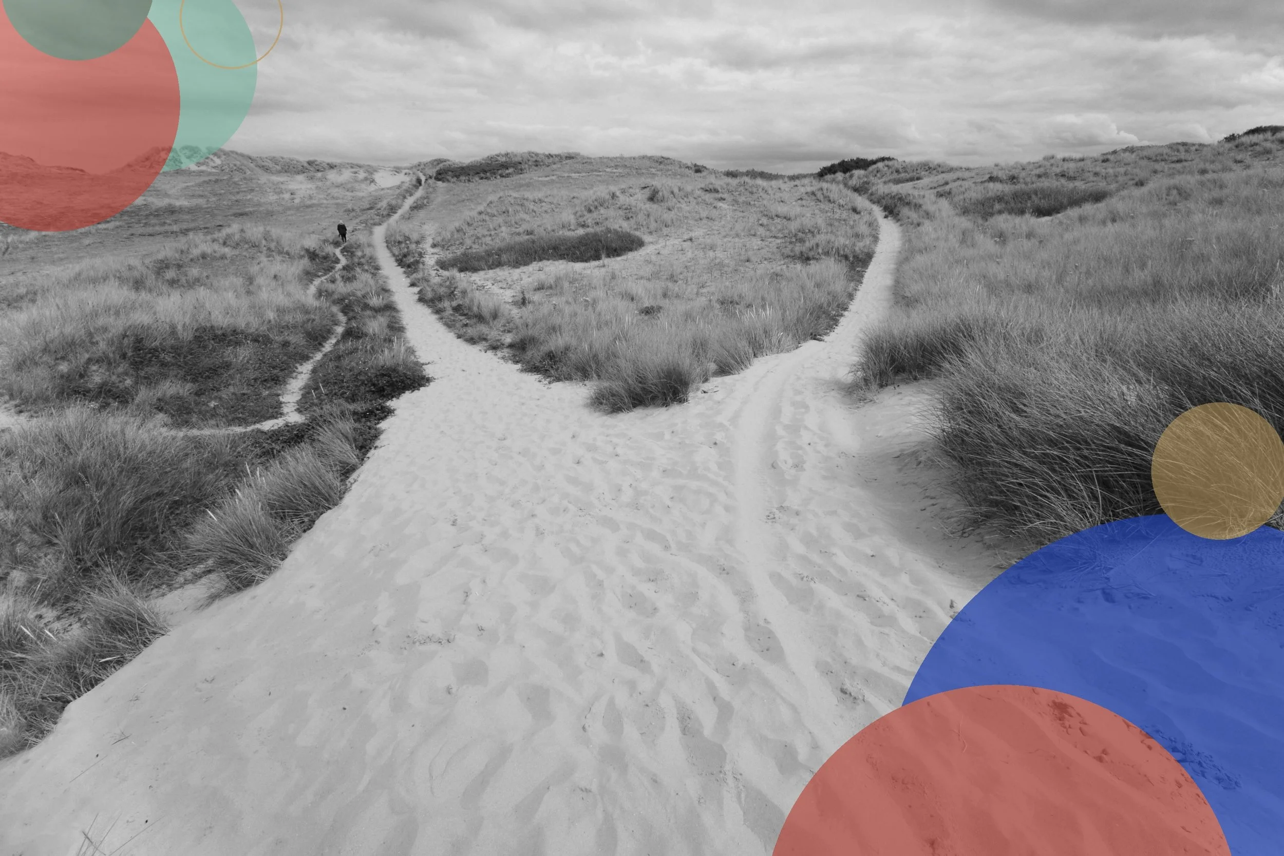 The Case for Next-Door Career Paths