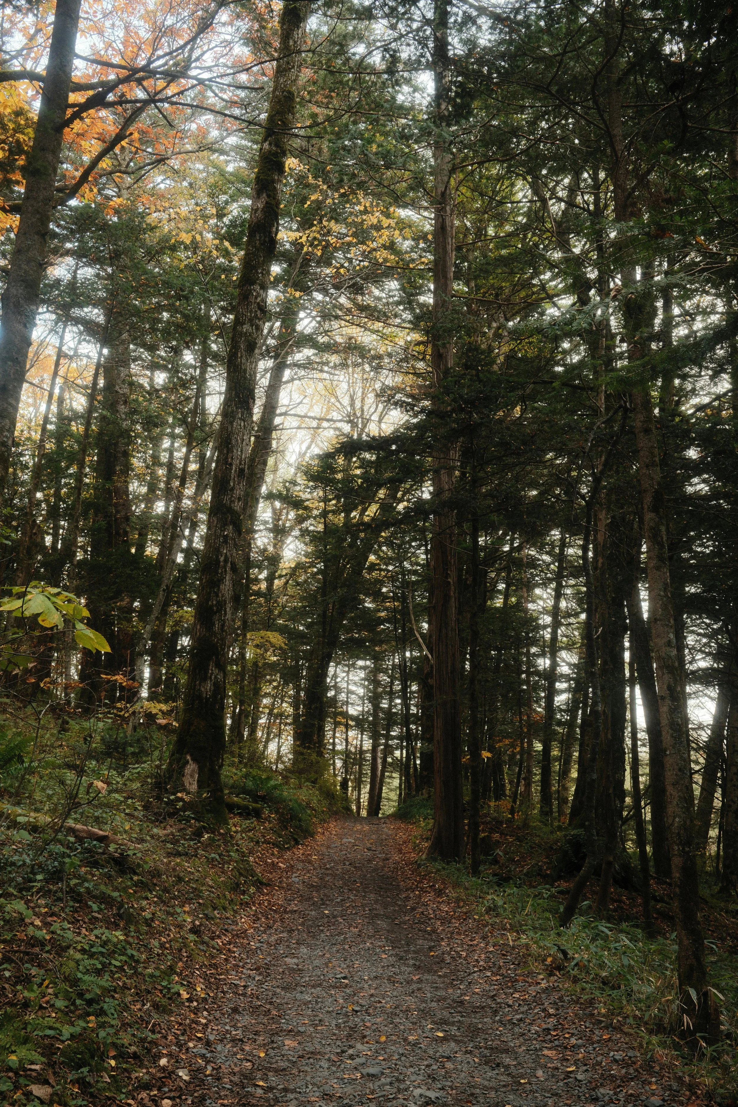 Vermont Hiking Season Is Open