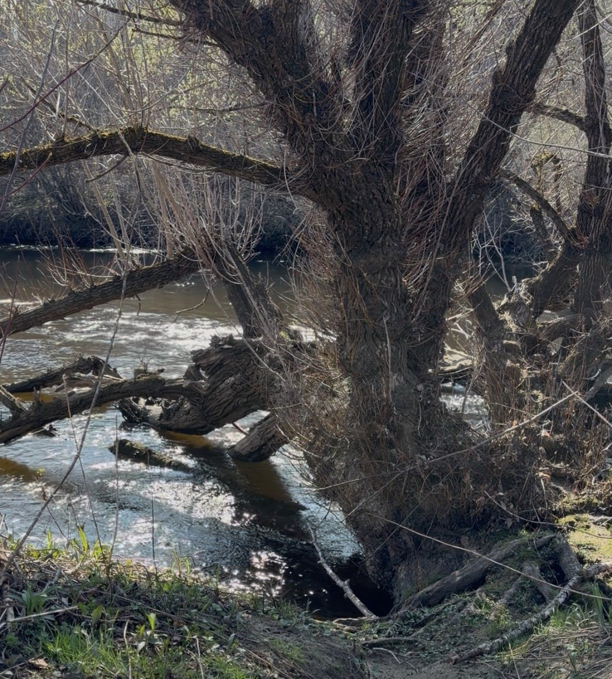 Battenkill or Batten Kill River? 