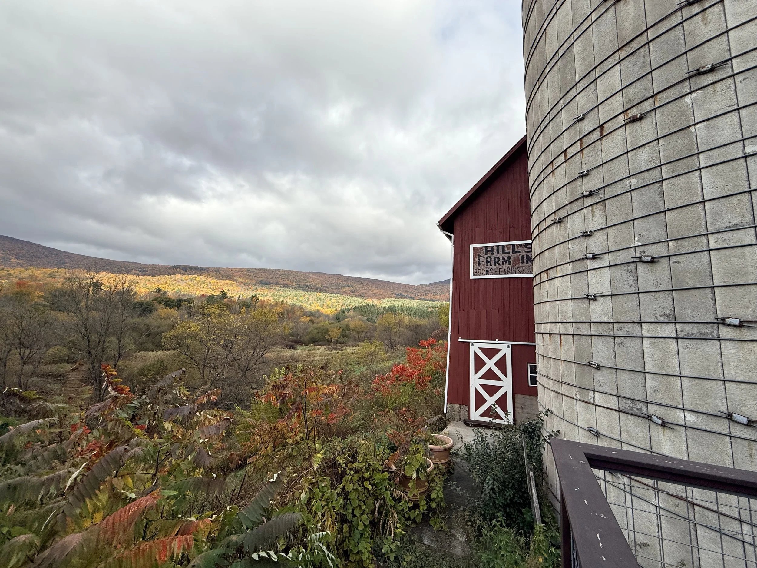 barn_8529.jpg