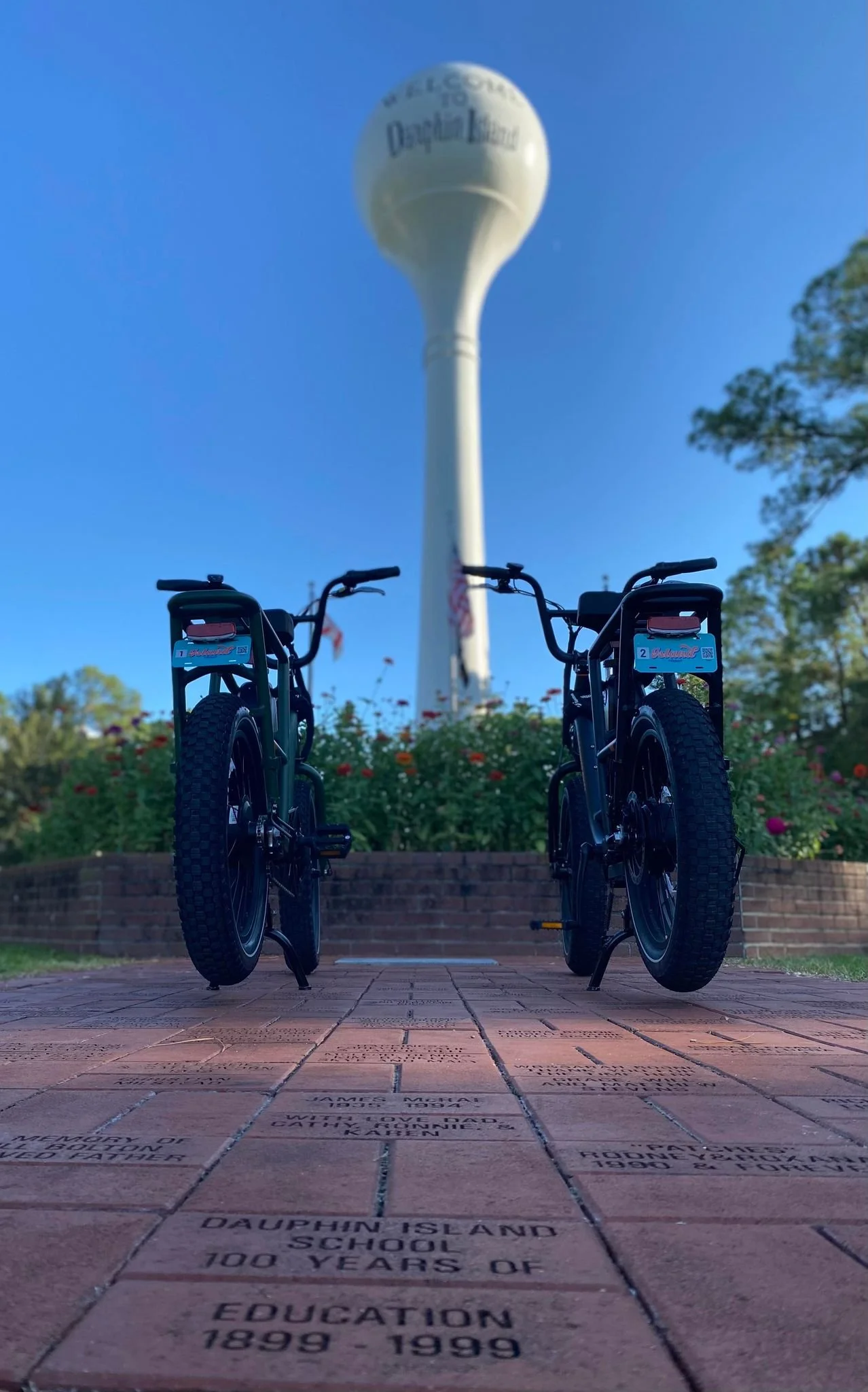 Terms & Conditions — Island eBikes