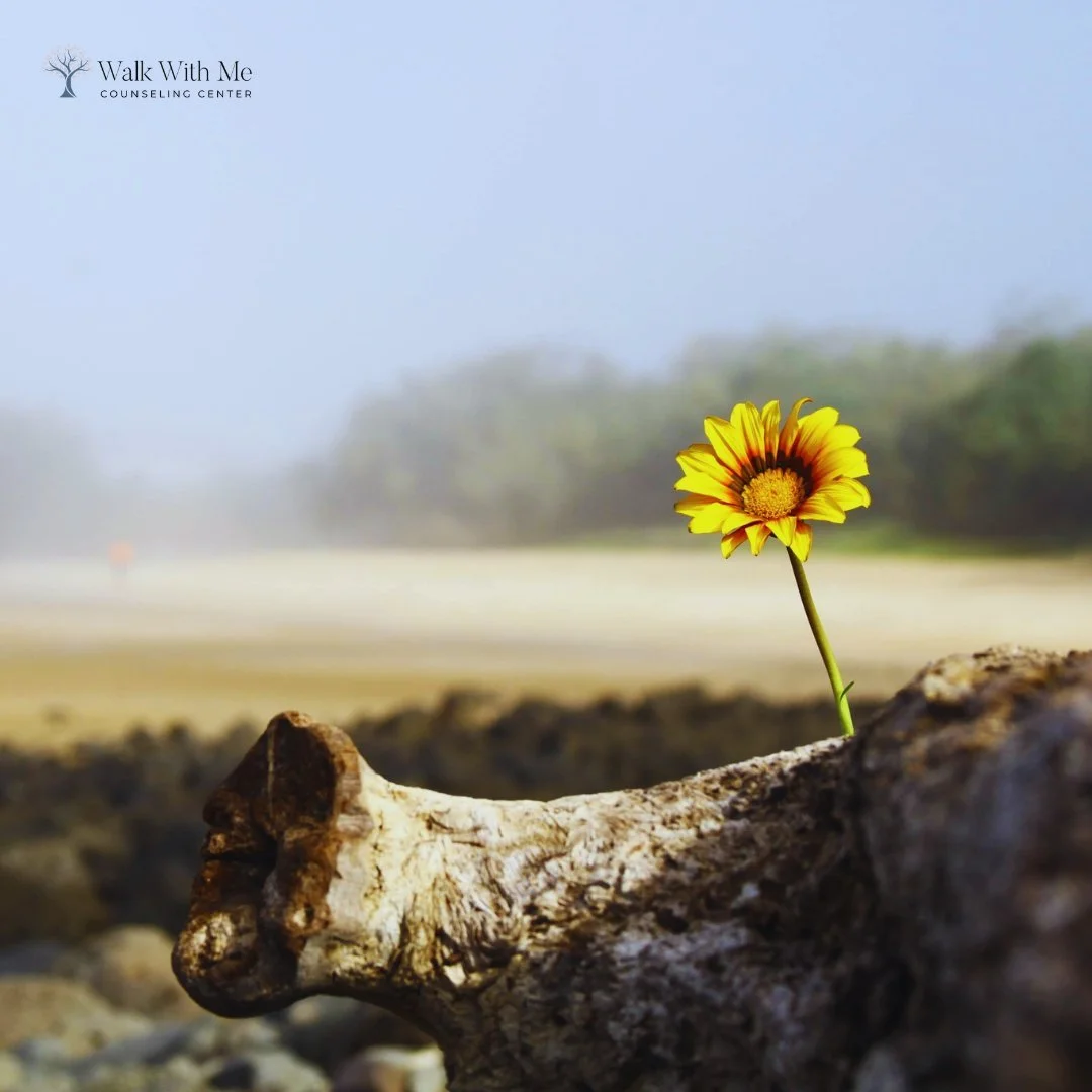 A Flower in blooming in the middle of a drougtht