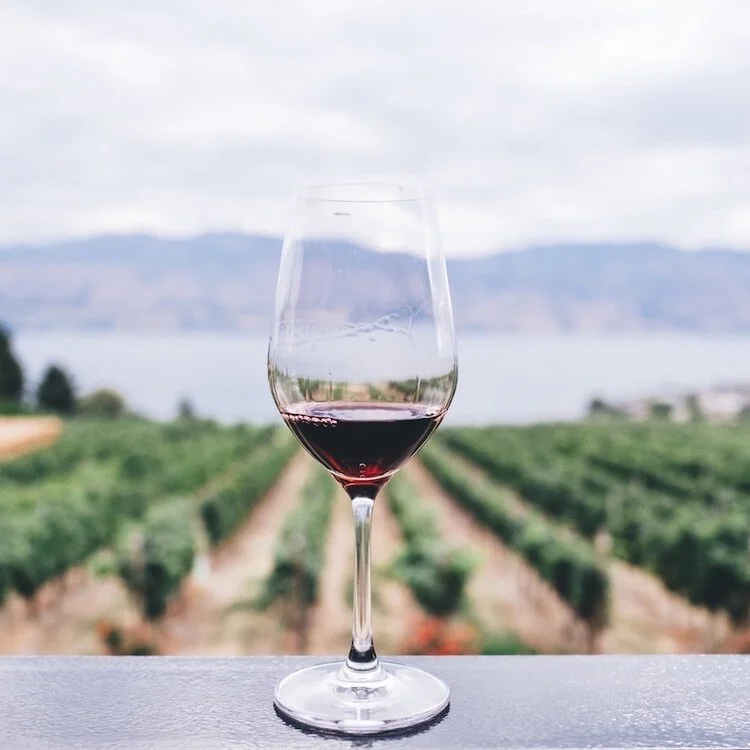 Wine+Tasting.jpg