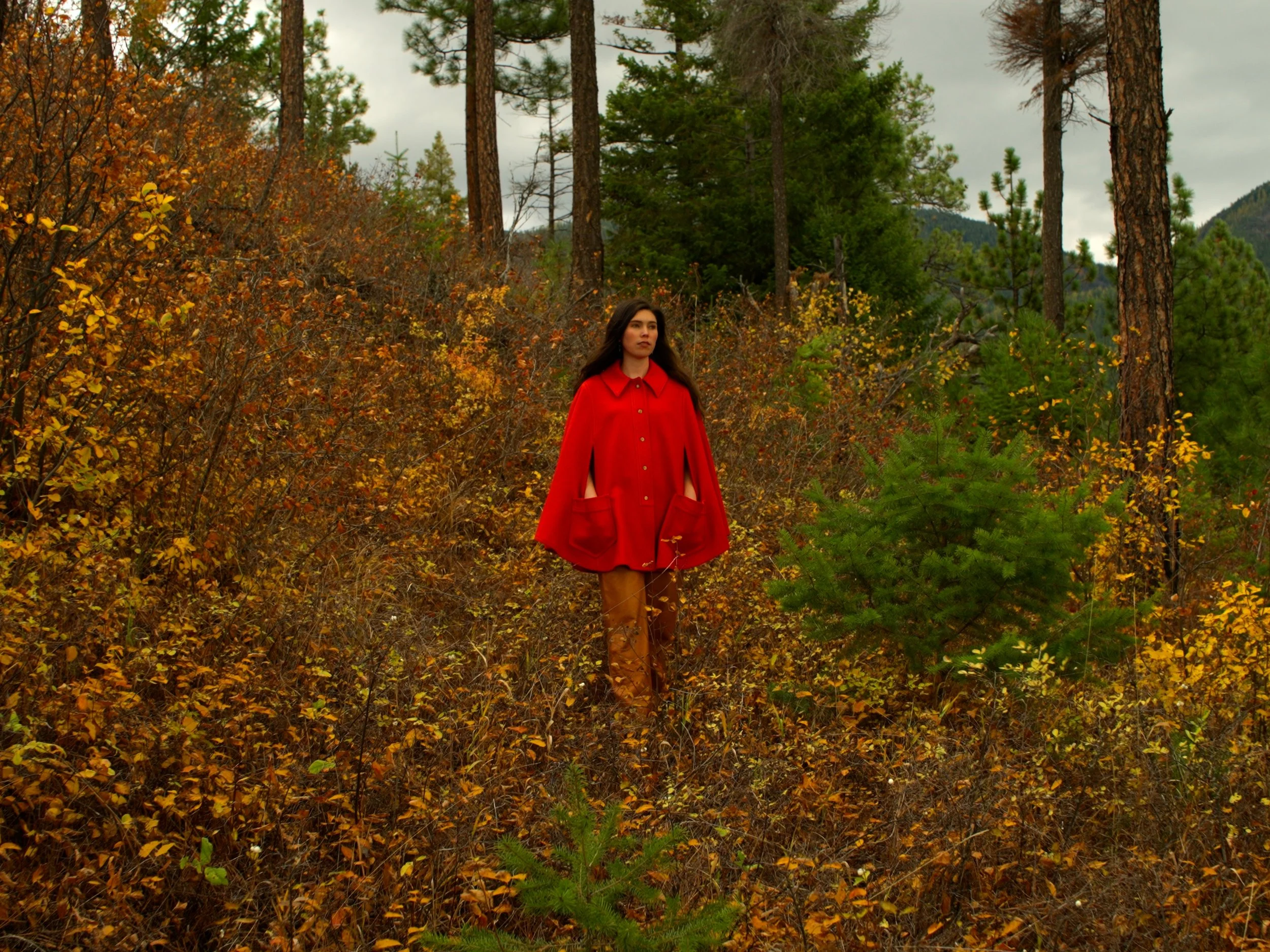 Still 2025-07-03 110936_1.2.1.jpg