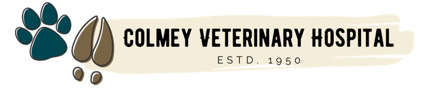 Colmey Veterinary Hospital