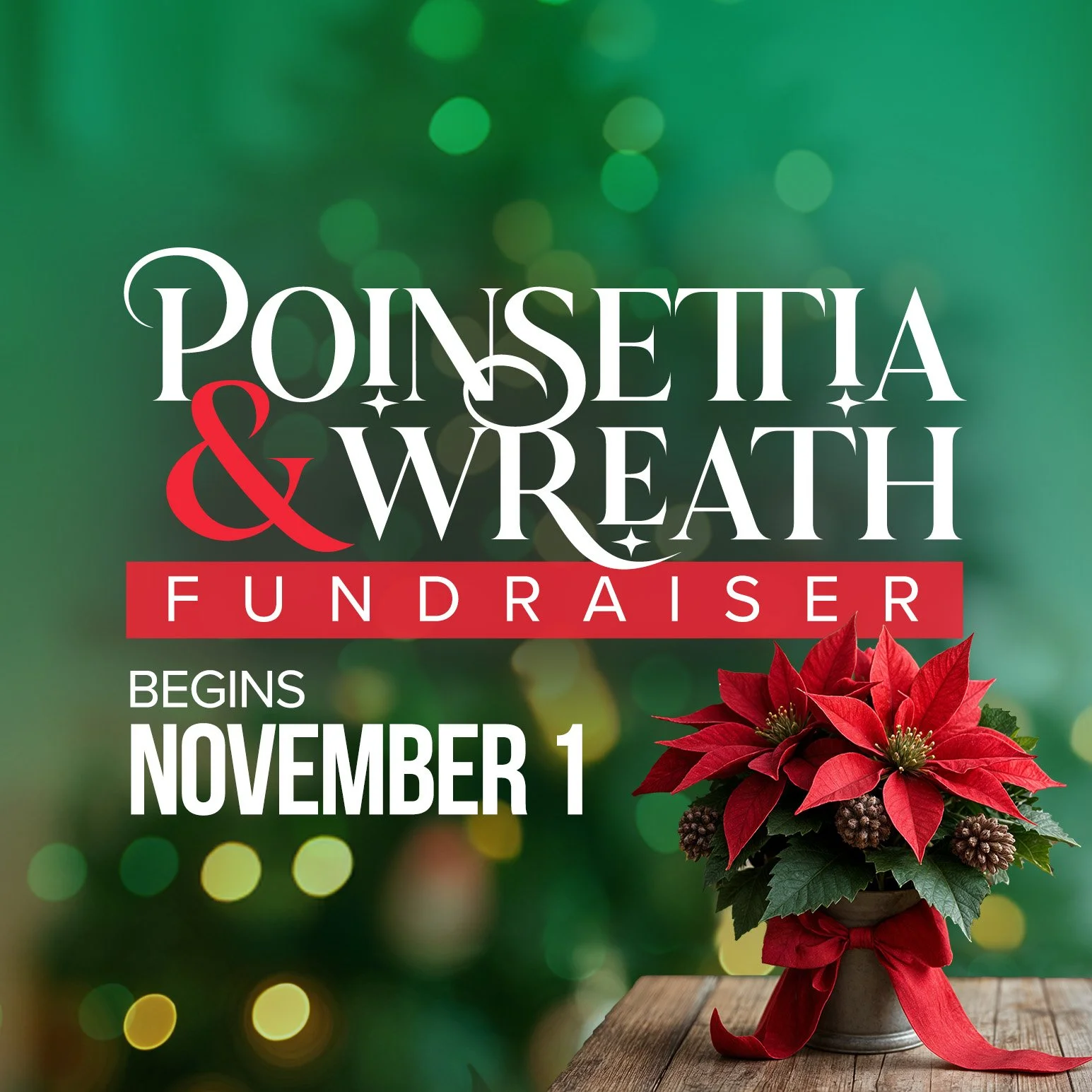 Poinsettia Fundraiser Begins