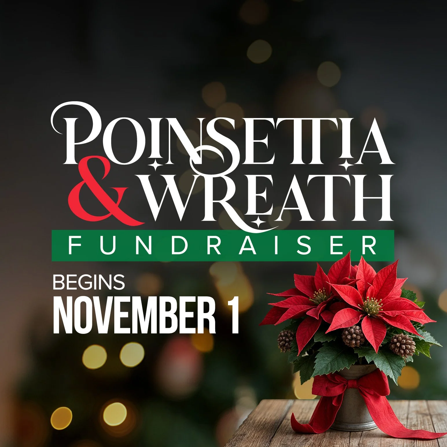 Poinsettia & Wreath Fundraiser Begins