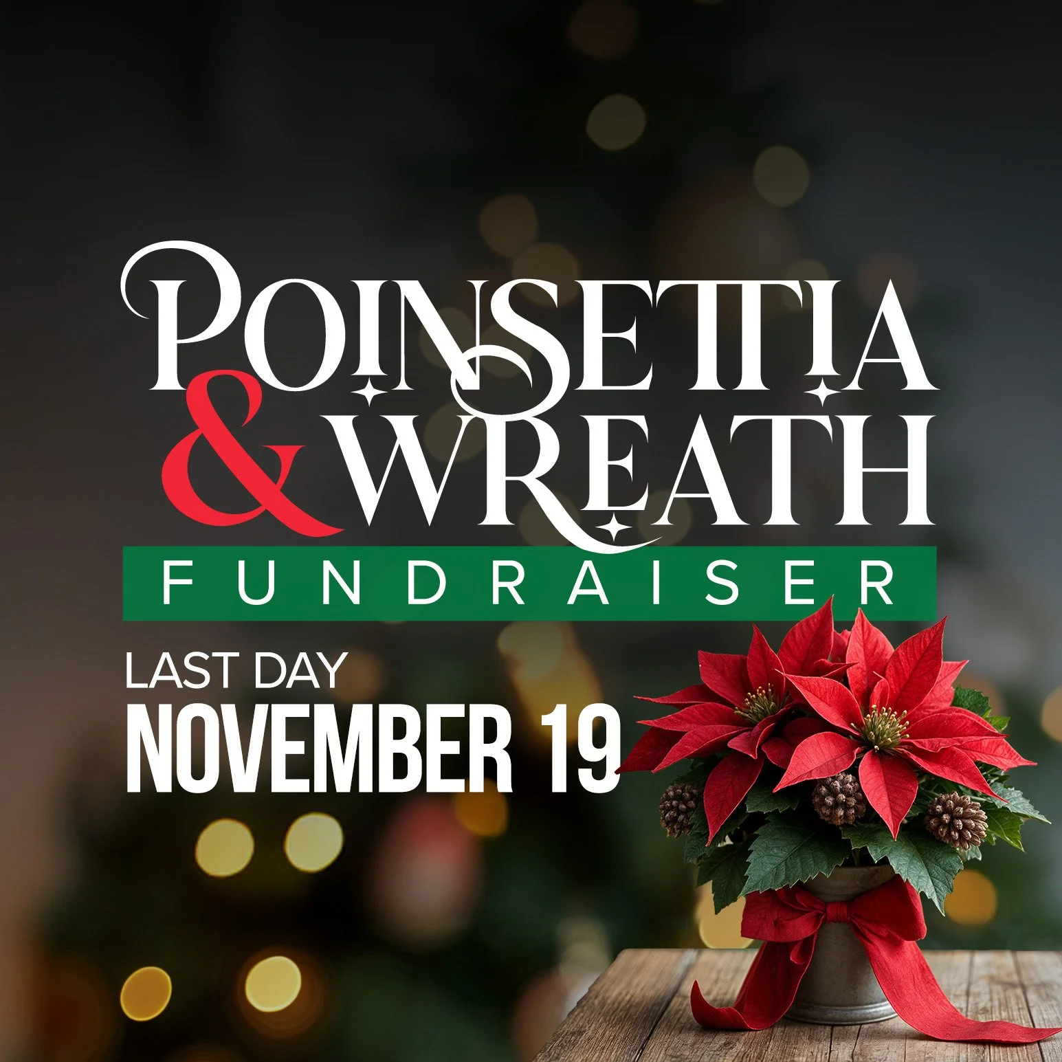 Poinsettia & Wreath Fundraiser (Last Day)