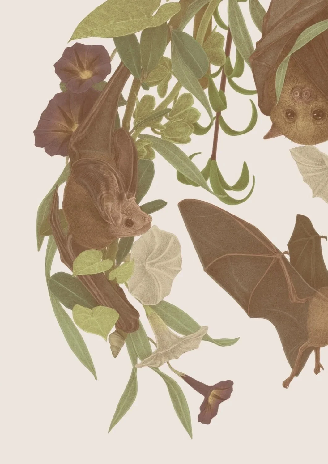 Digital Illustration