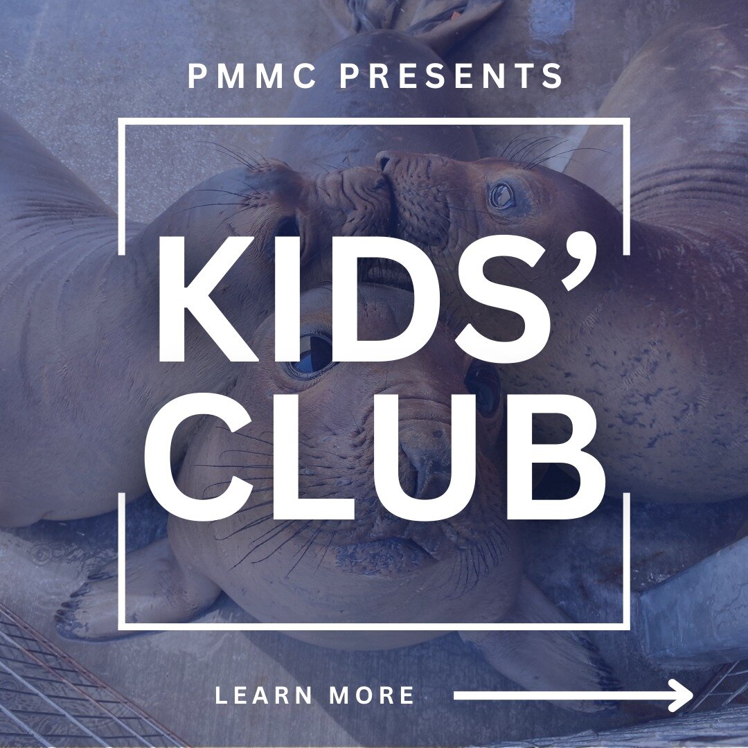 Our new Kid&rsquo;s Club offers parents a fun and engaging way to introduce their child to ocean advocacy. Over the course of one year, members receive books, mission driven activities, highlights of current patients in our hospital, and access to an