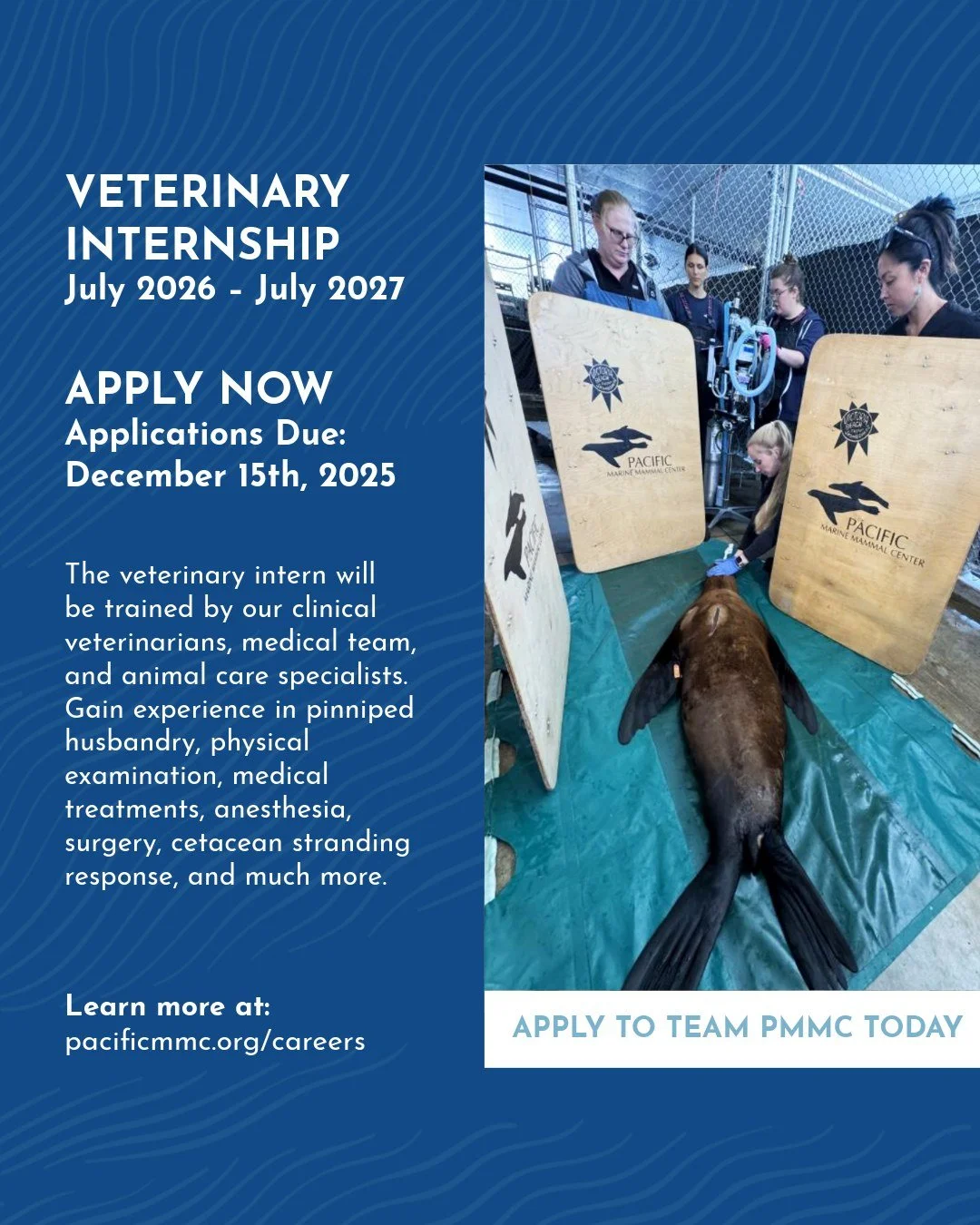 Apply Today - Join Our Passionate Team! The applications for PMMC&rsquo;s 2026 Veterinary Internship and 2027 Veterinary Student Externship are open - now through December 15th, 2025. ⭐ Go to the link in our bio and look for Advanced Training Opportu